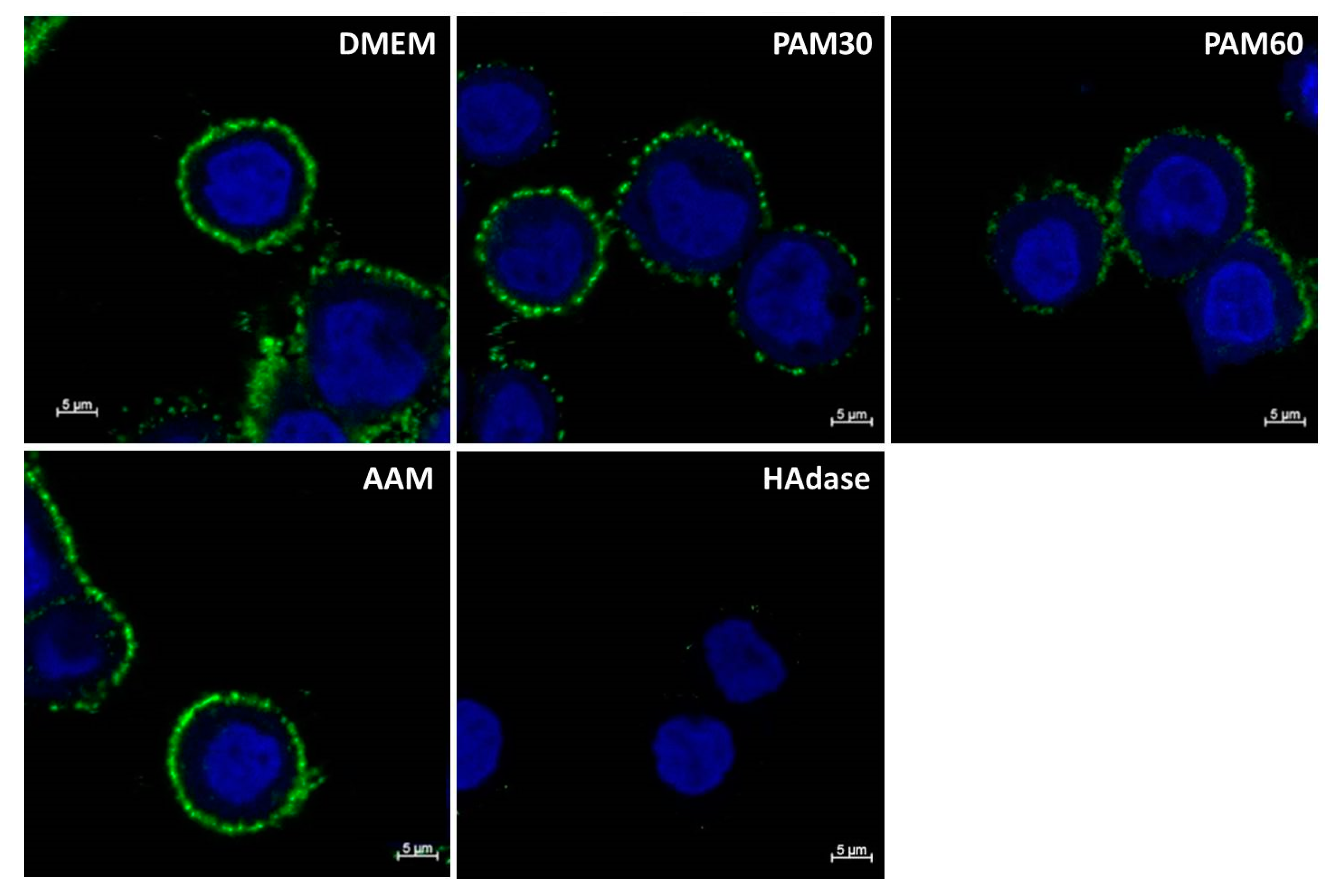 Applsci 10 05024 g003 Applsci 10 05024 g003