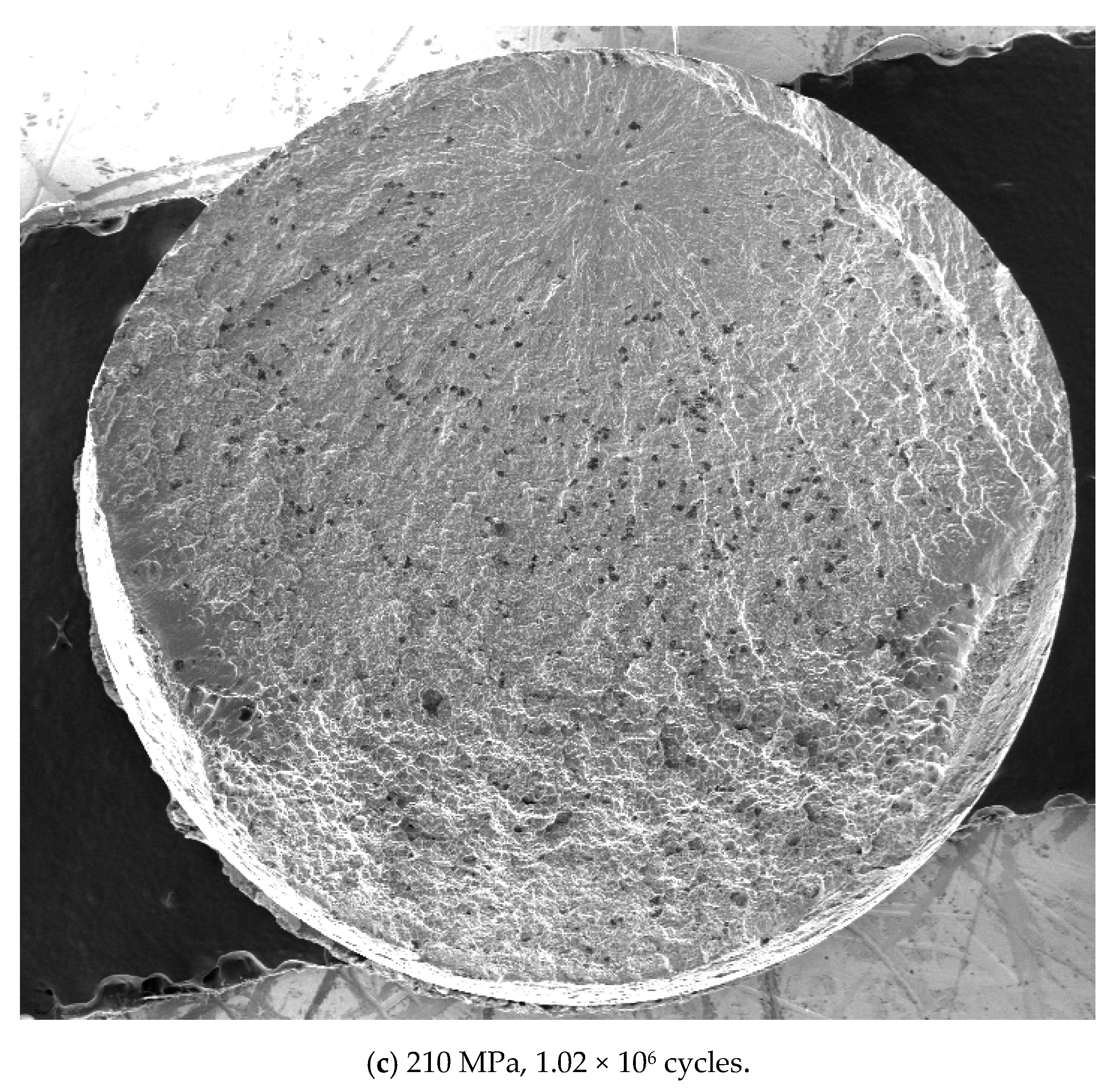 Applsci 10 05042 g006b