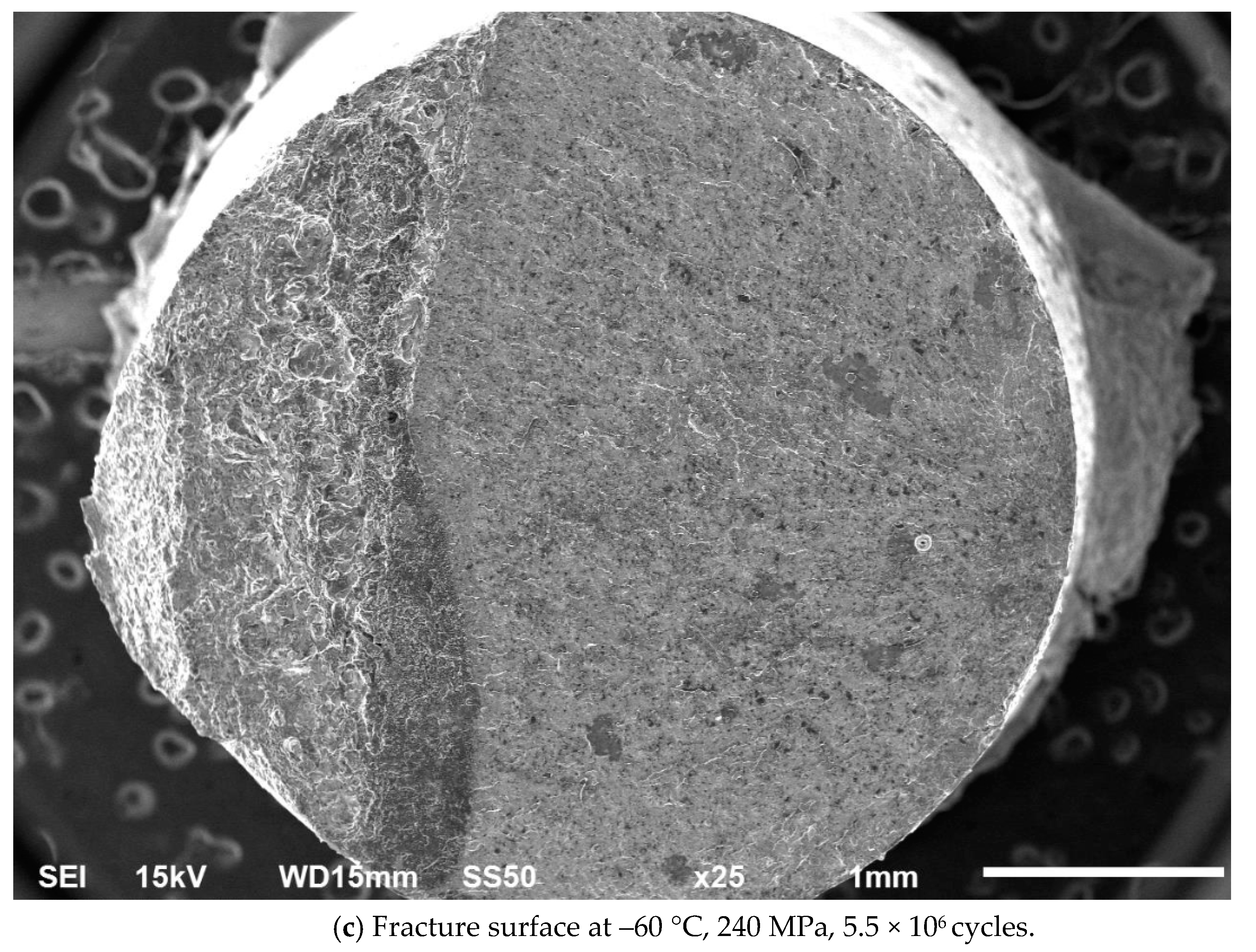 Applsci 10 05042 g008b