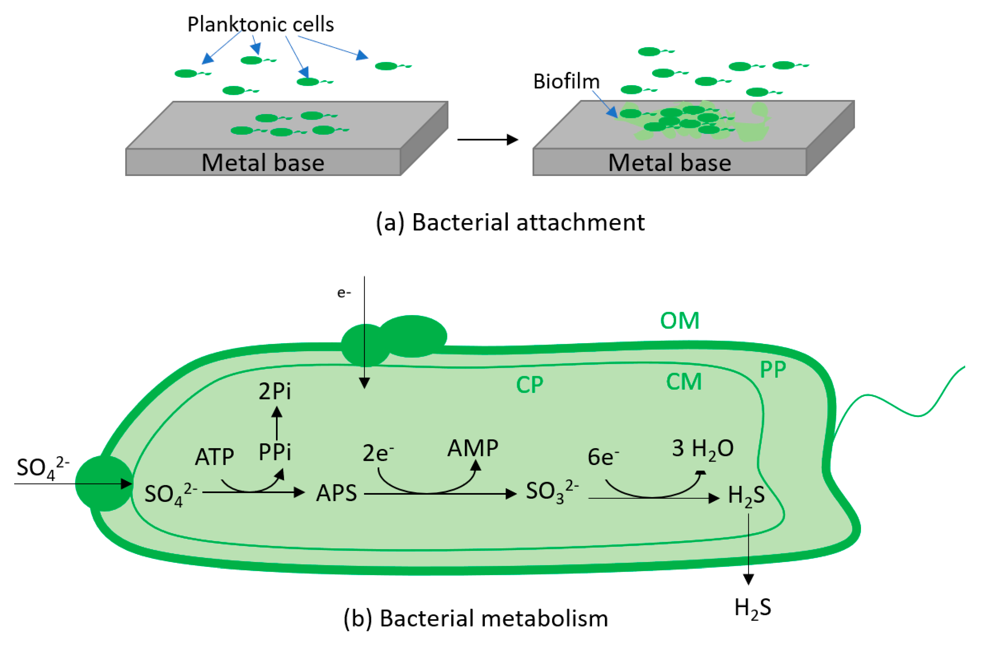 Applsci 10 05043 g012a