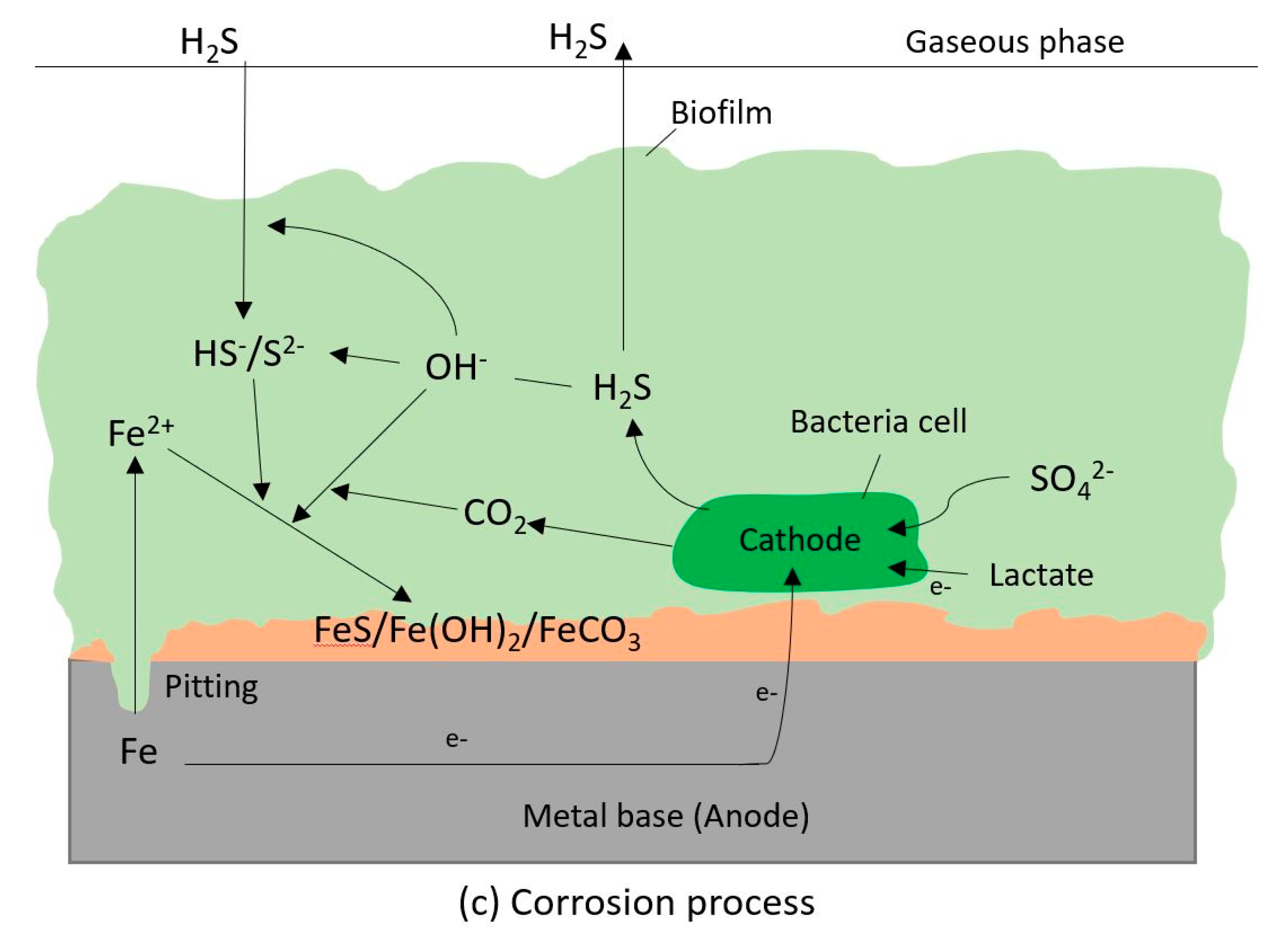 Applsci 10 05043 g012b
