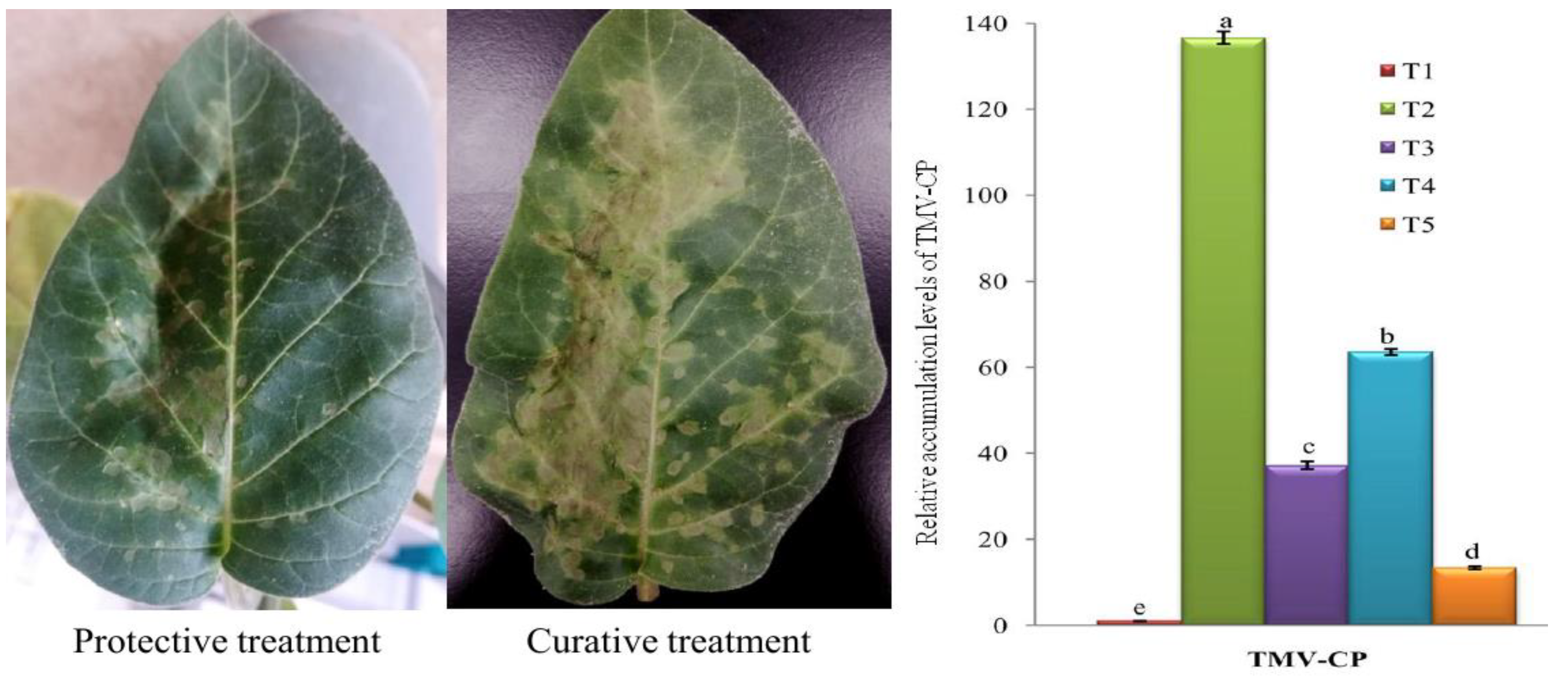 Applsci 10 05054 g005 Applsci 10 05054 g005