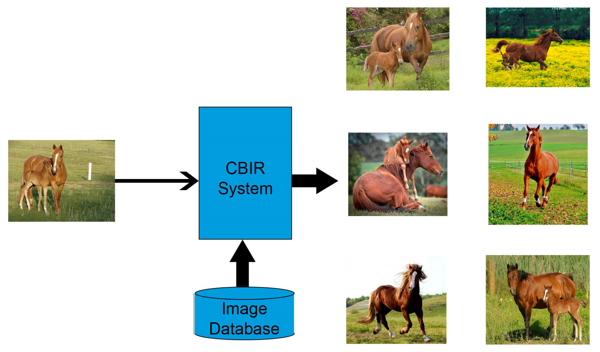 Applsci 10 05059 g003