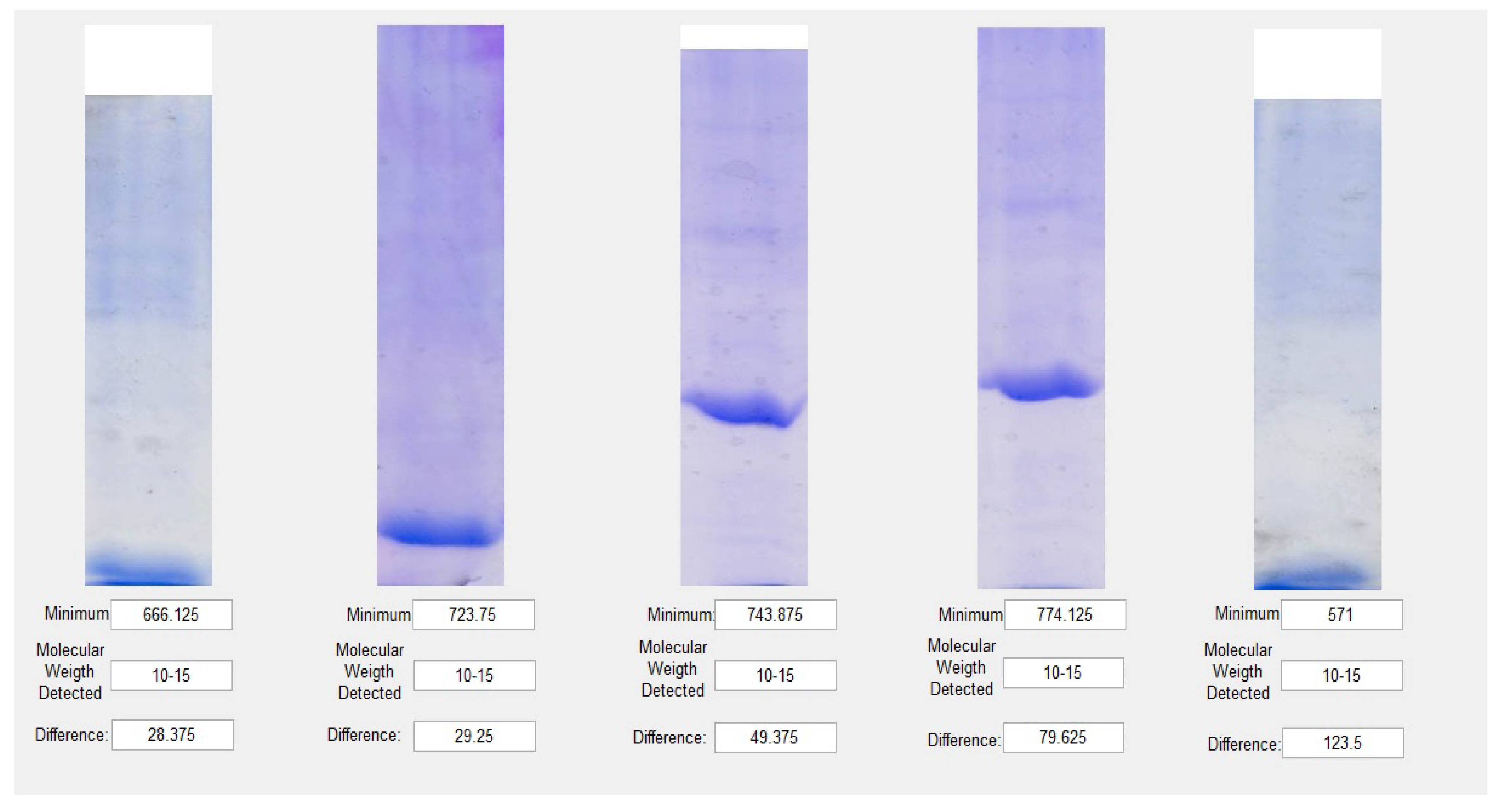 Applsci 10 05059 g010