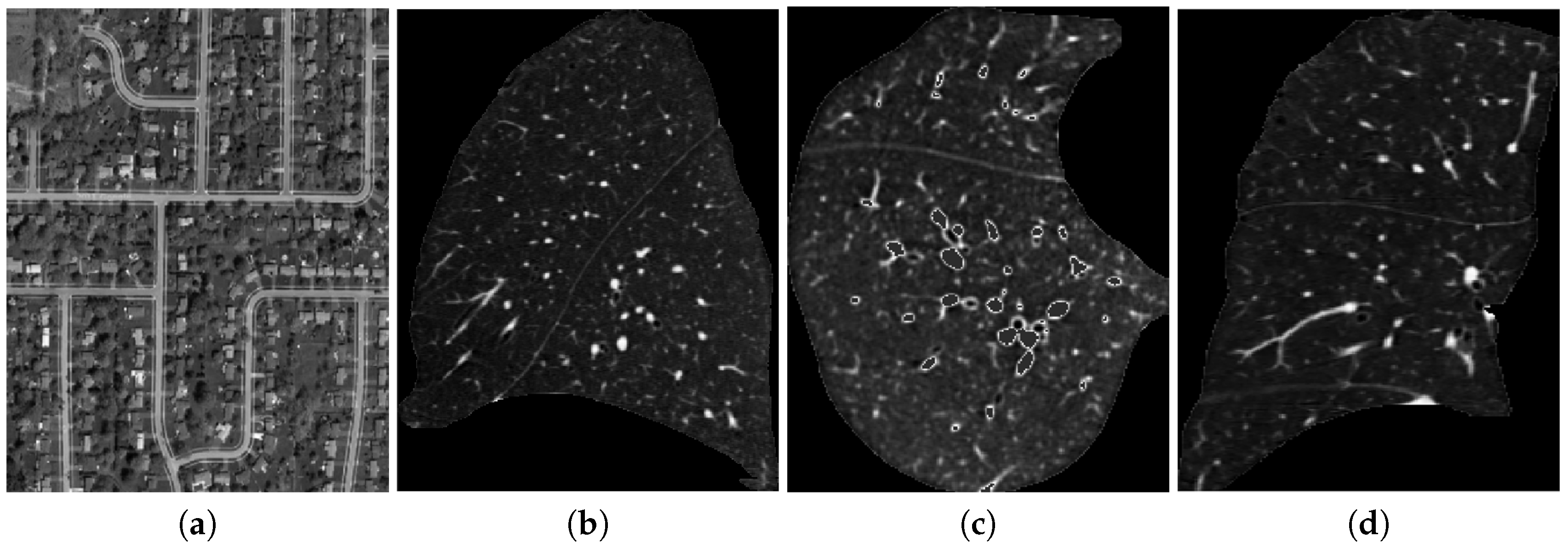 Applsci 10 05079 g001