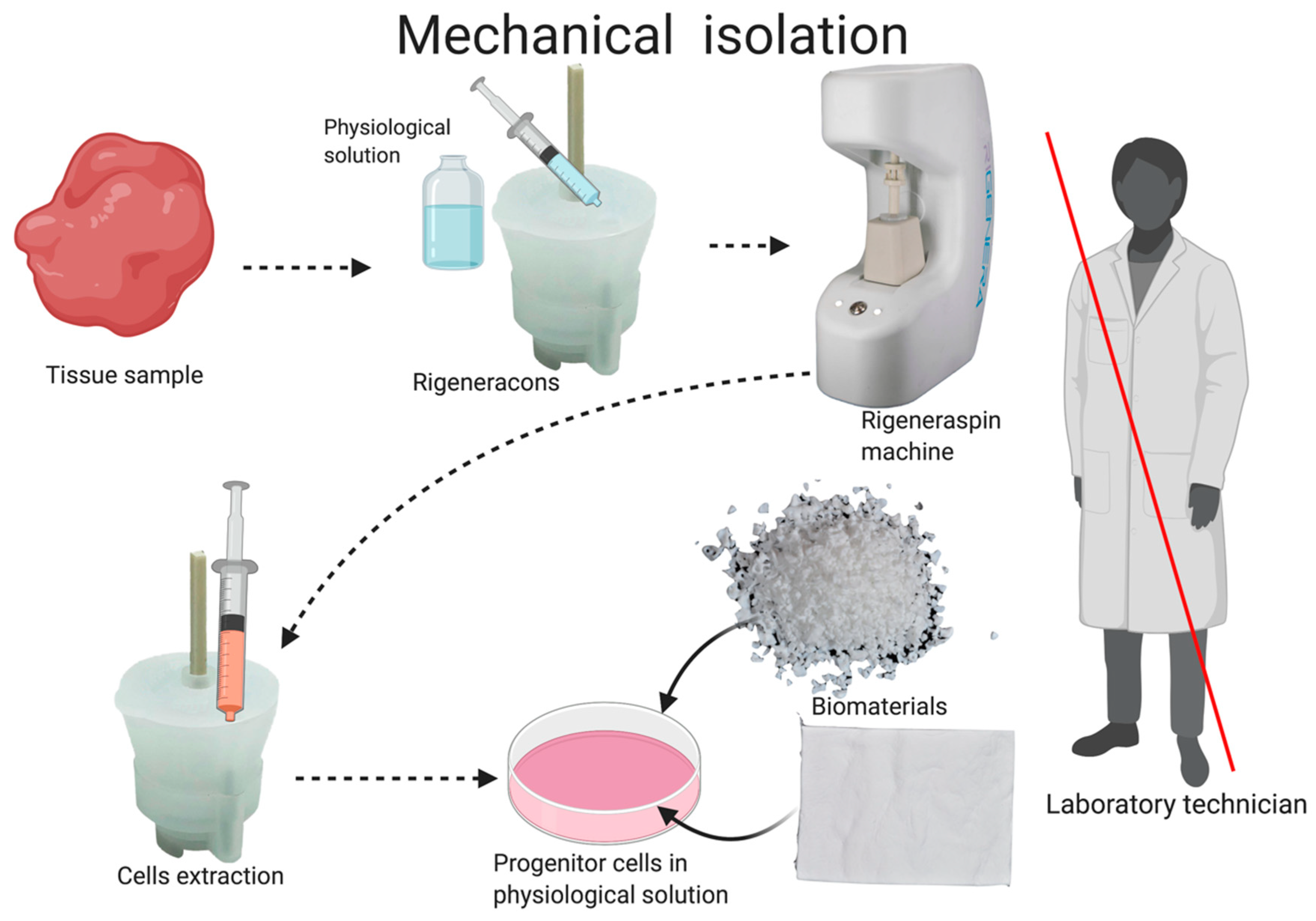 Applsci 10 05084 g002 Applsci 10 05084 g002