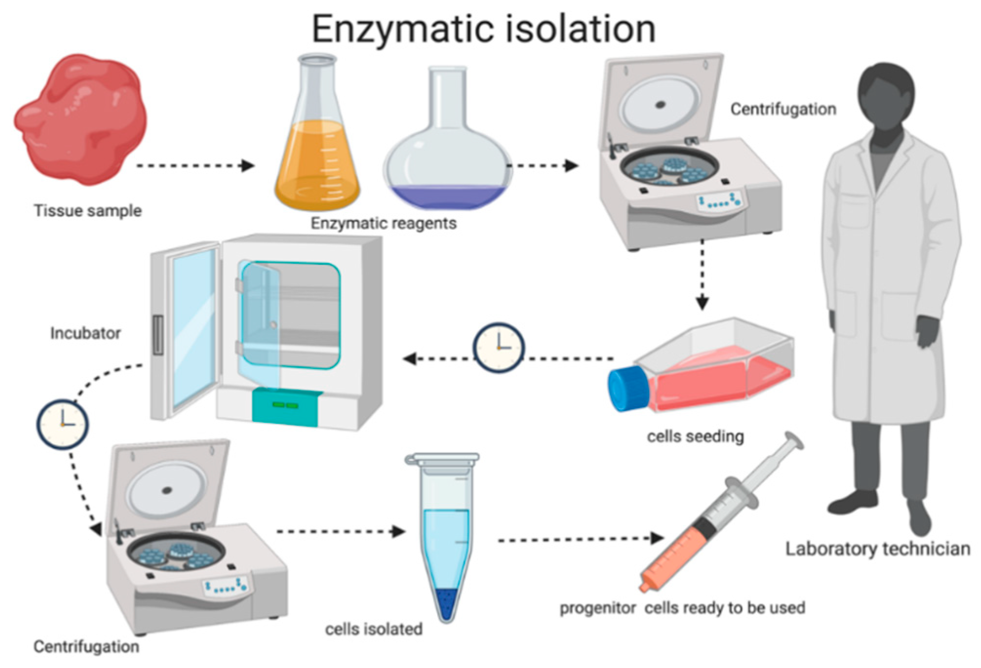 Applsci 10 05084 g003 Applsci 10 05084 g003