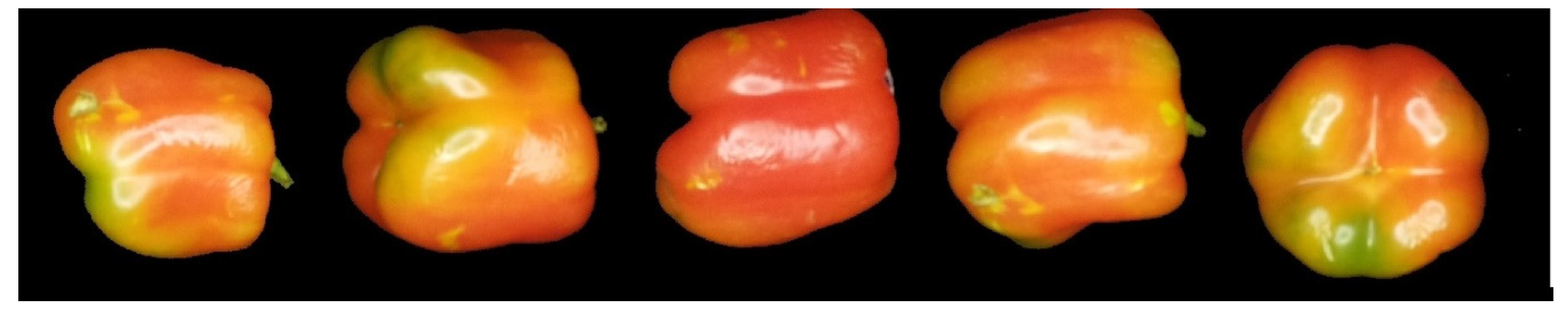 Applsci 10 05097 g004 Applsci 10 05097 g004