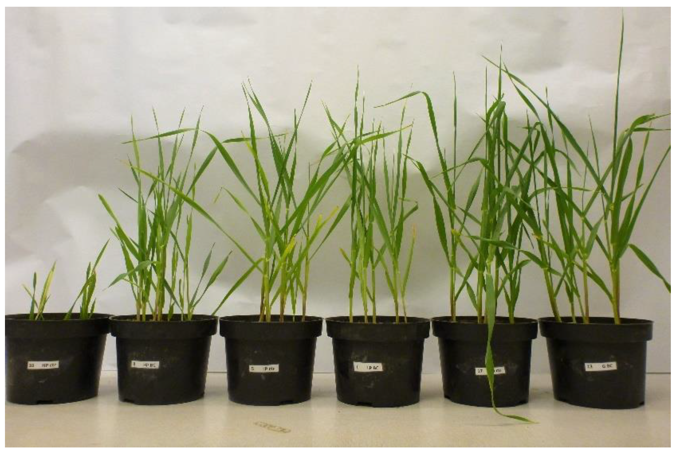 Applsci 10 05105 g001