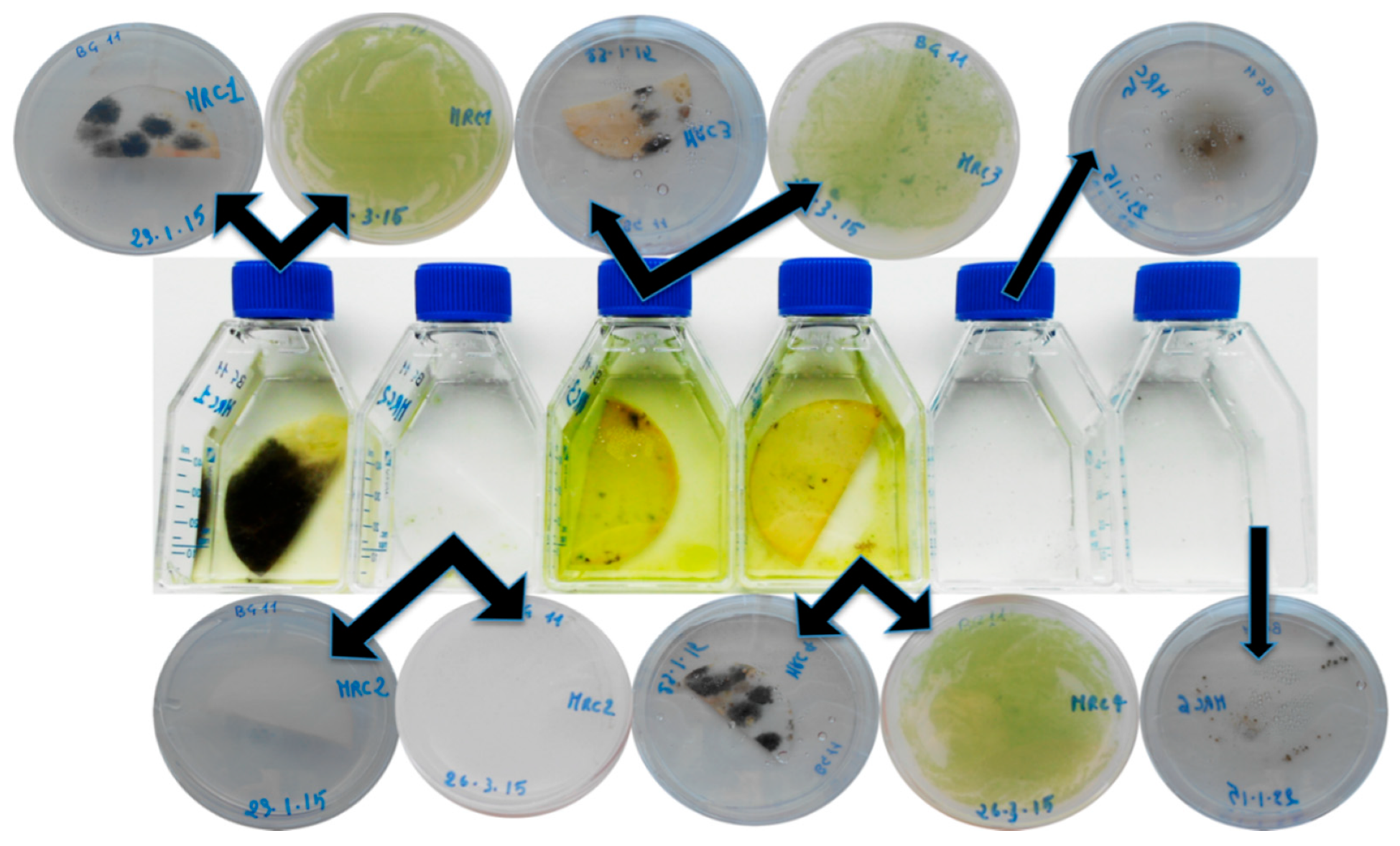 Applsci 10 05106 g006