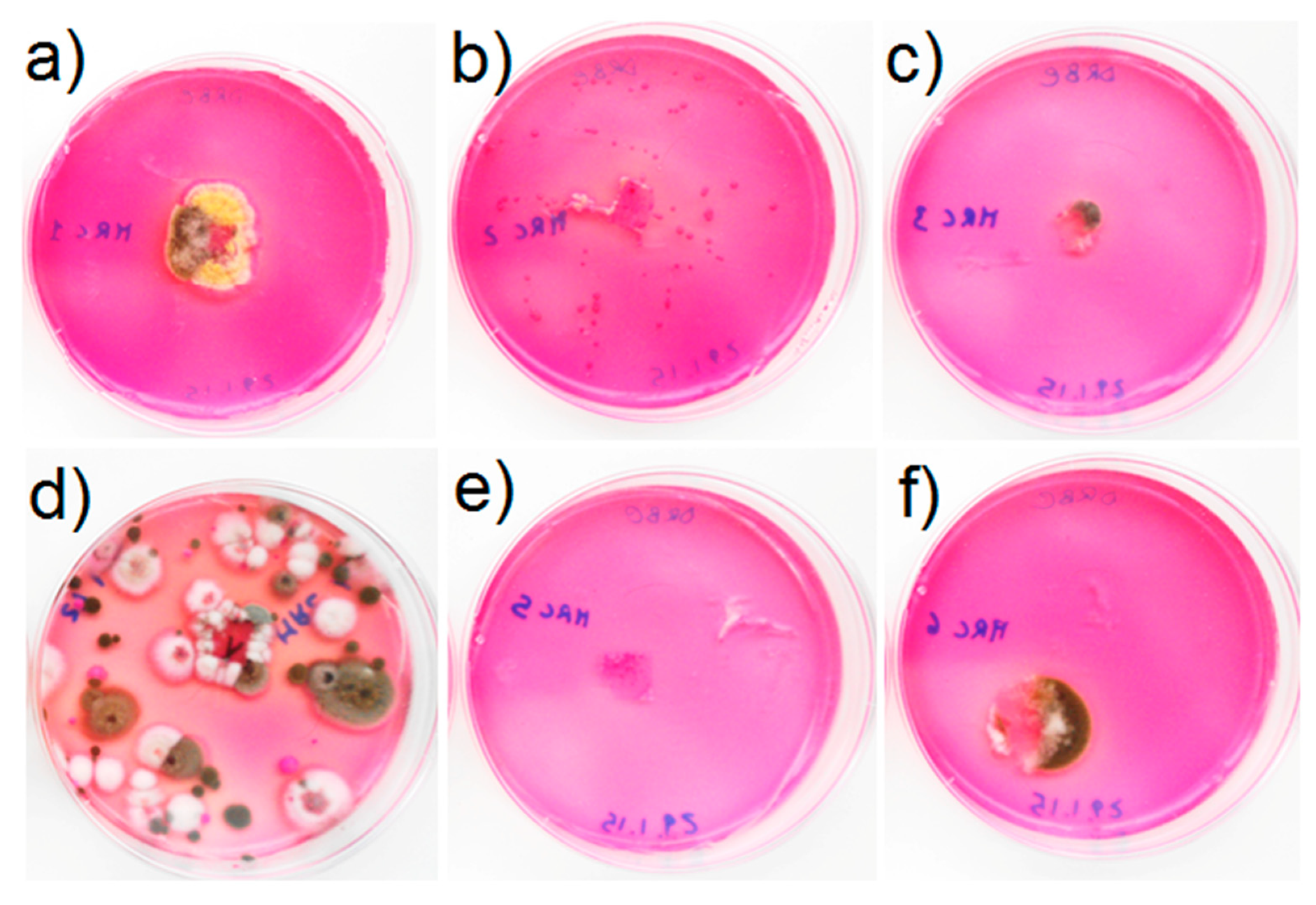 Applsci 10 05106 g007