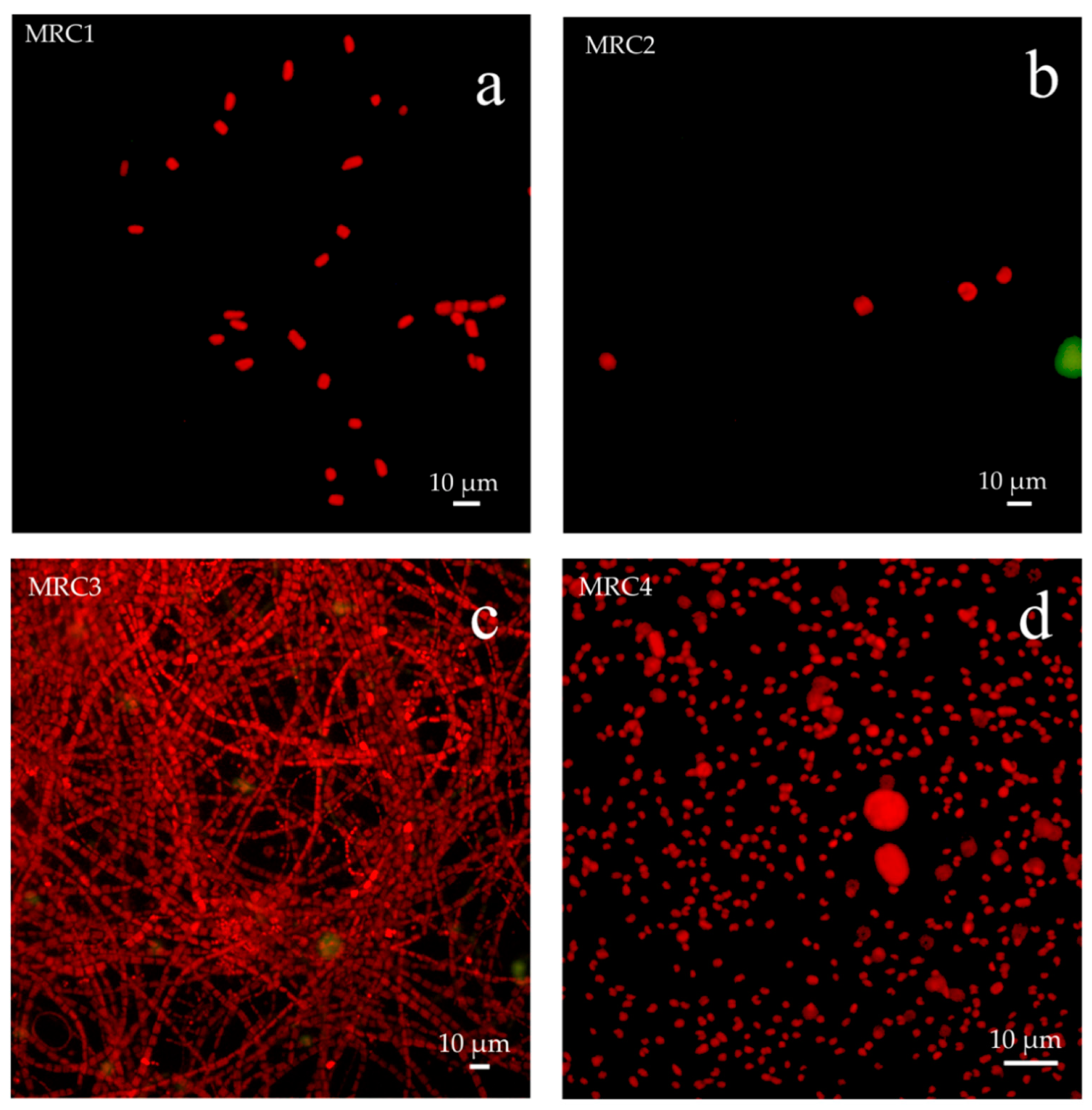 Applsci 10 05106 g008