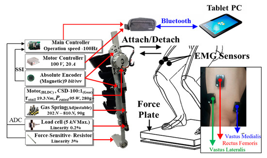 トレーニングAssess＆Correct アセス&コレクト Special Tests for Orthopedic Examination: 9781556427411