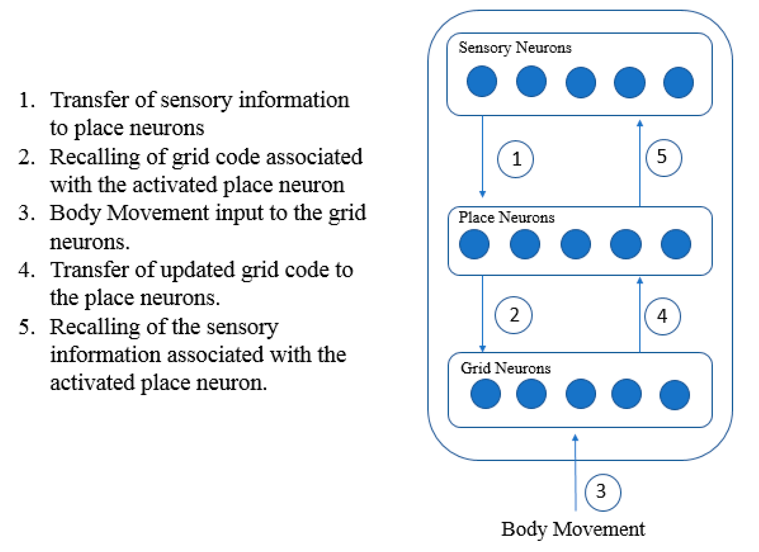Applsci 10 05147 g013 Applsci 10 05147 g013