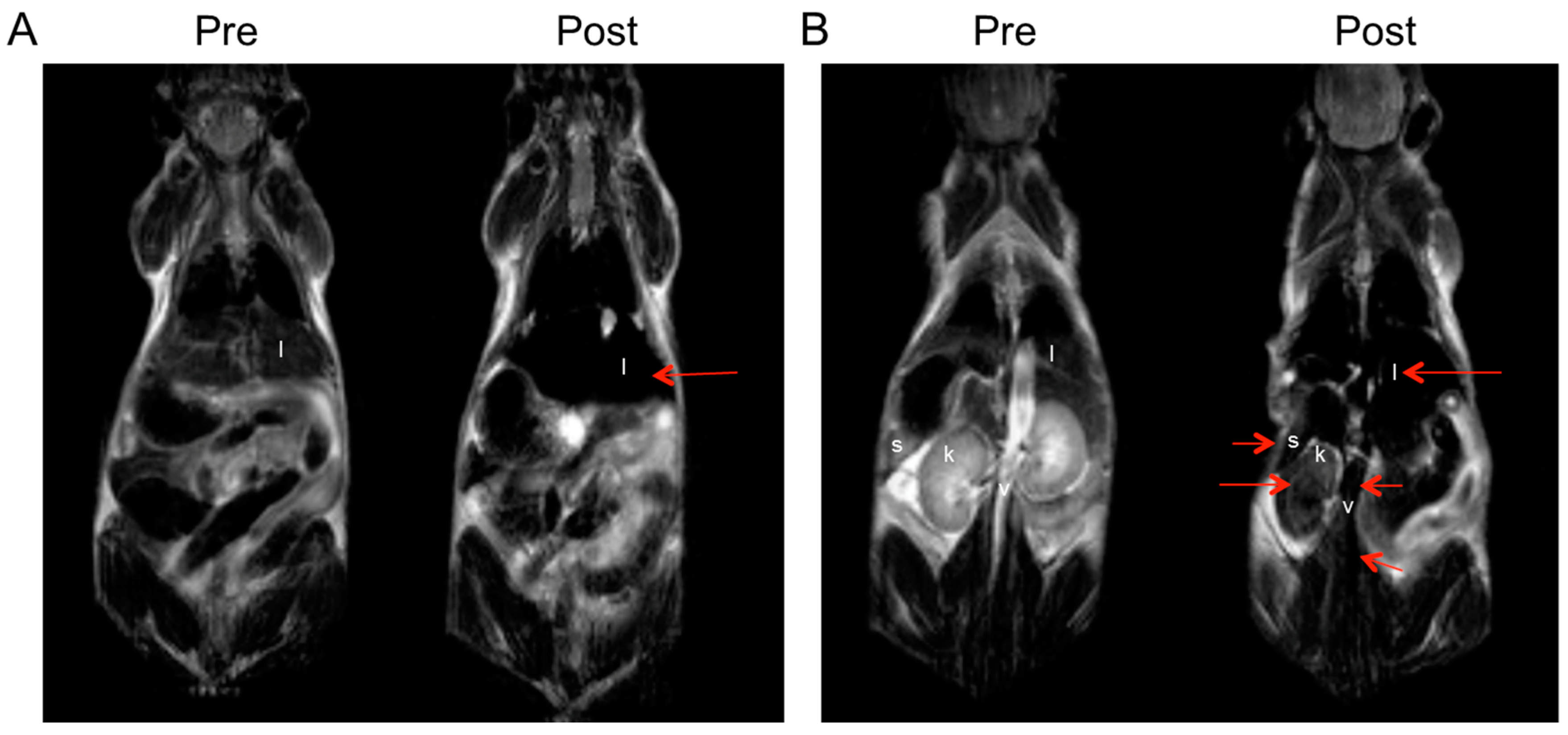 Applsci 10 05175 g006