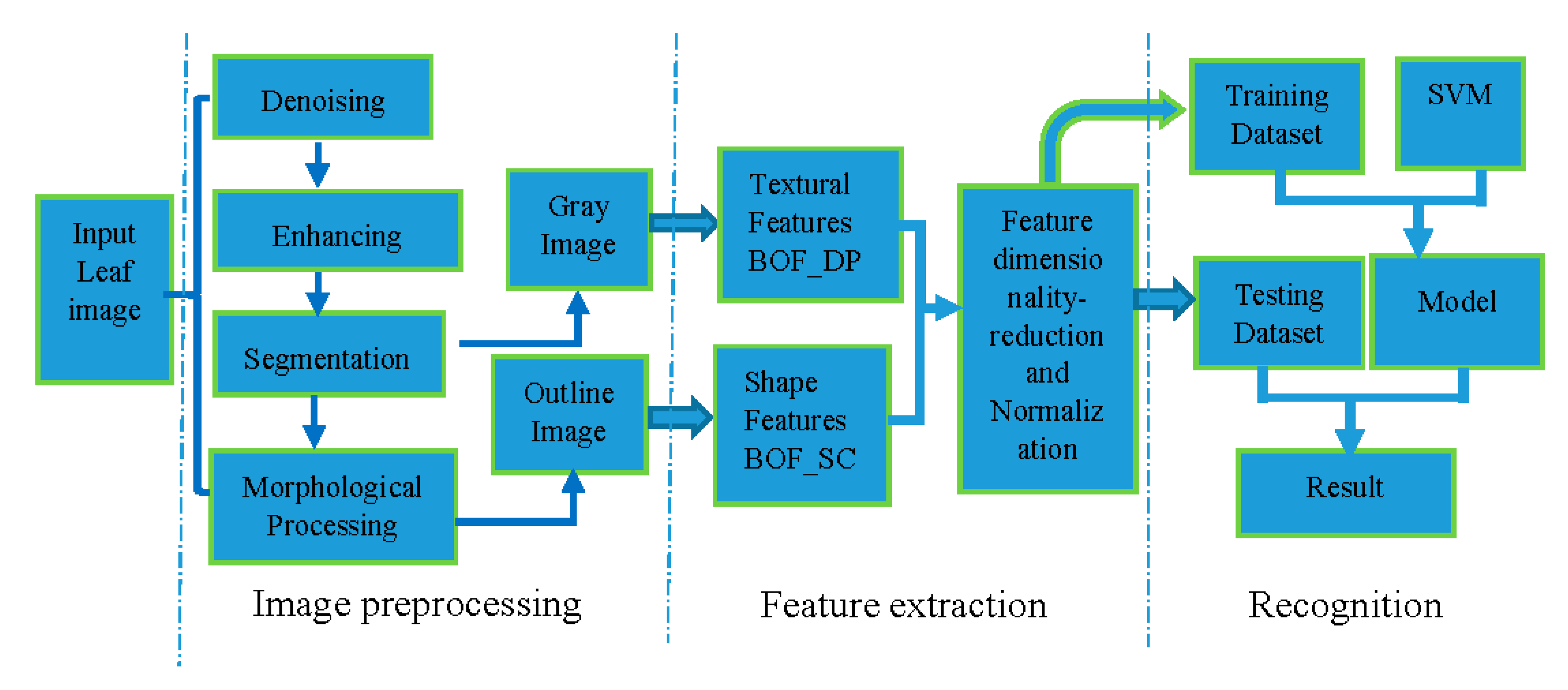 Leaf Image Recognition Based on Bag of Features