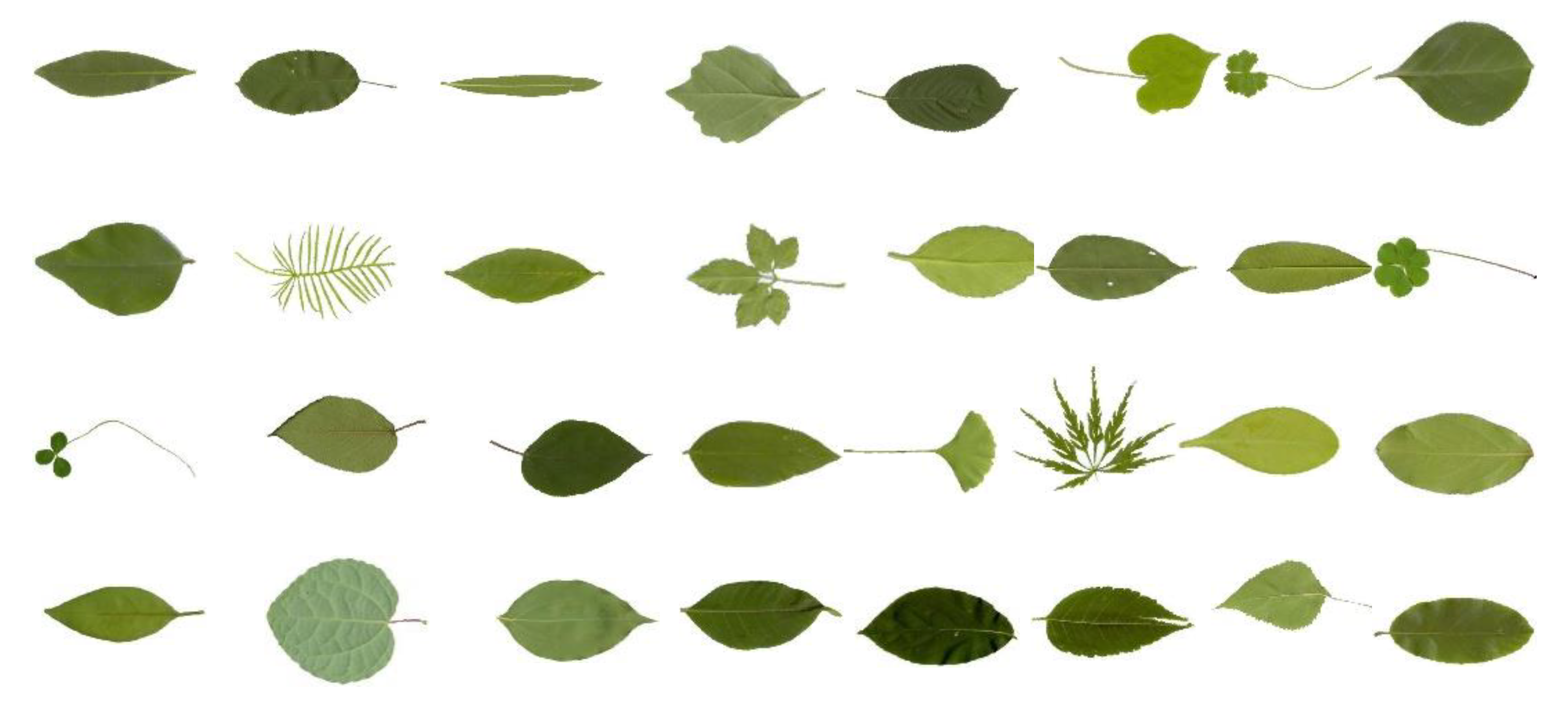 Applsci 10 05177 g008 Applsci 10 05177 g008