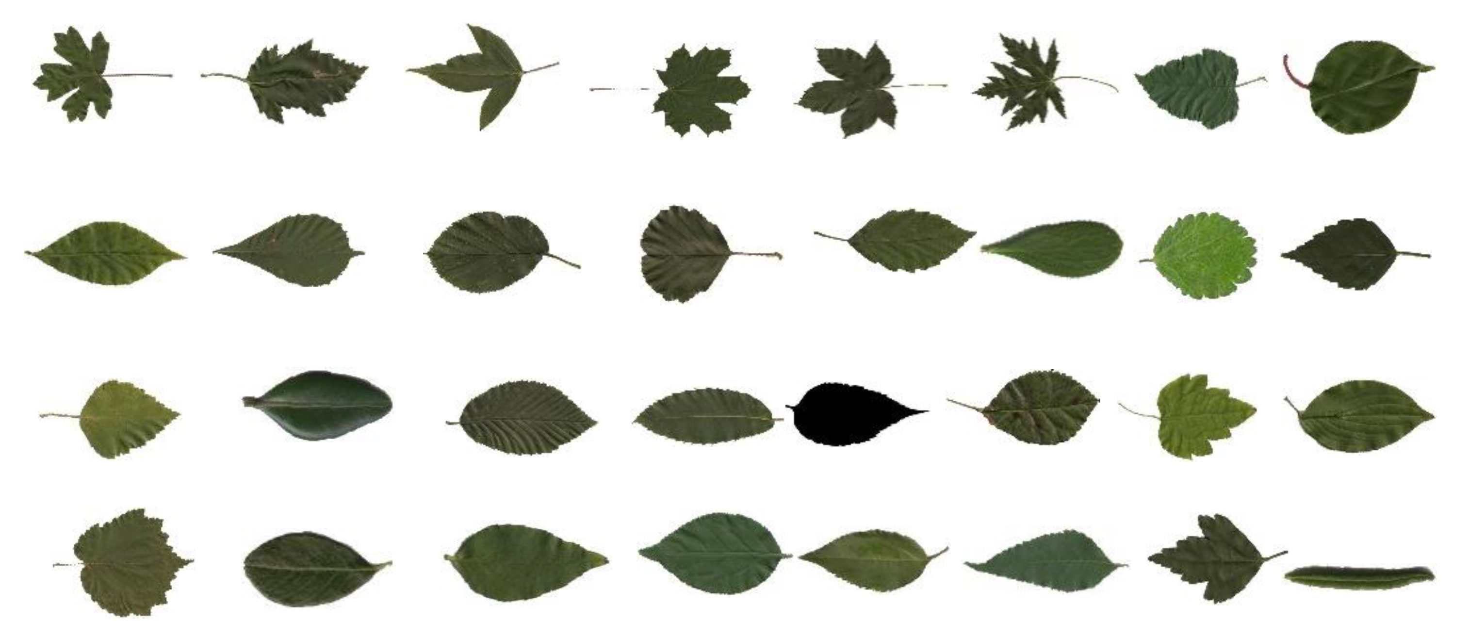 Applsci 10 05177 g010 Applsci 10 05177 g010