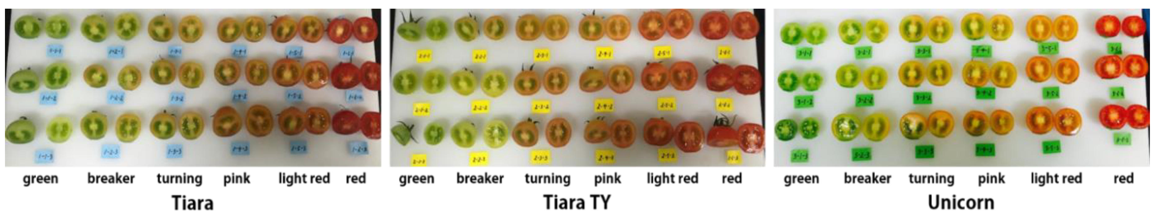 Applsci 10 05188 g001 Applsci 10 05188 g001