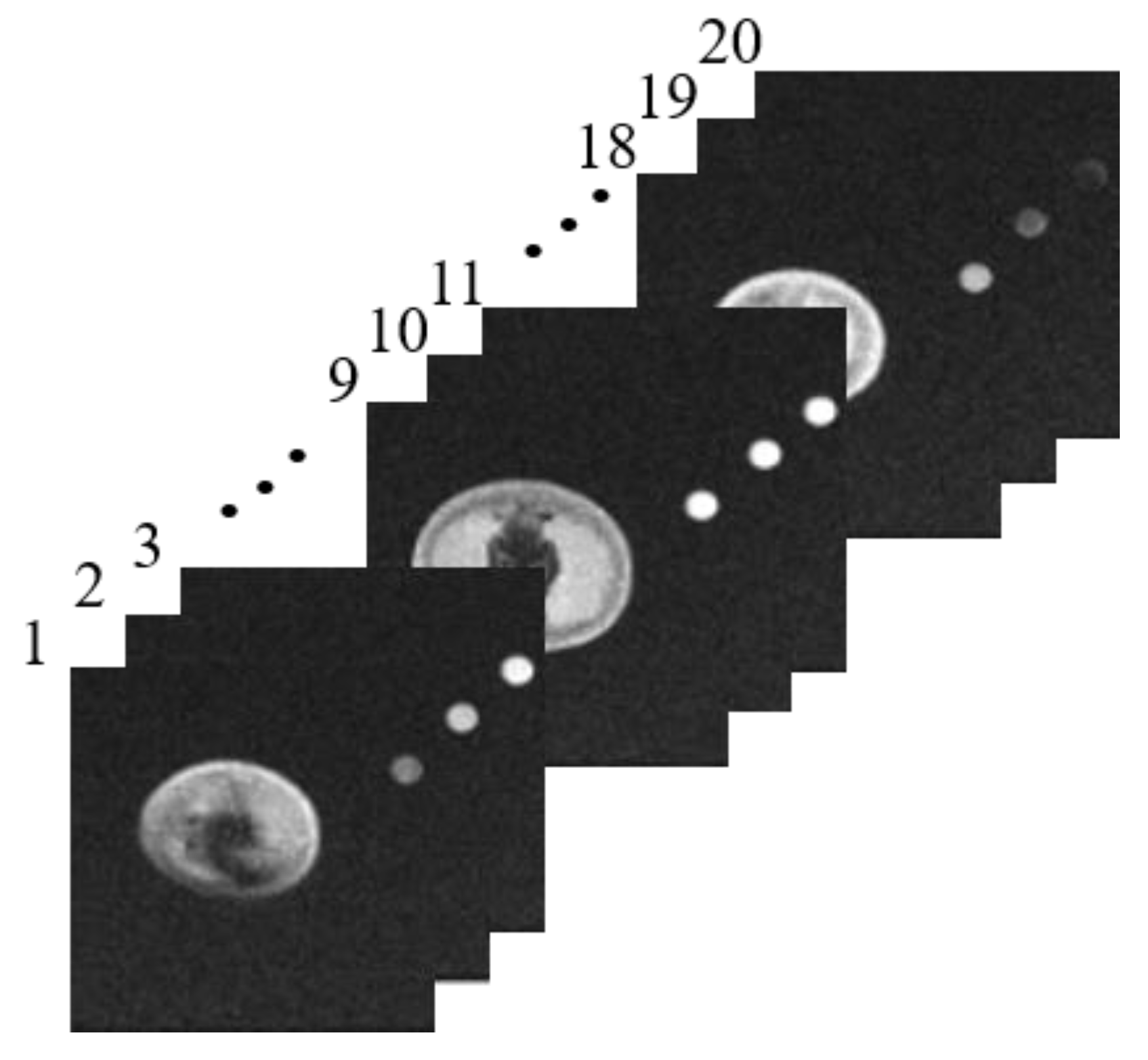 Applsci 10 05188 g002 Applsci 10 05188 g002