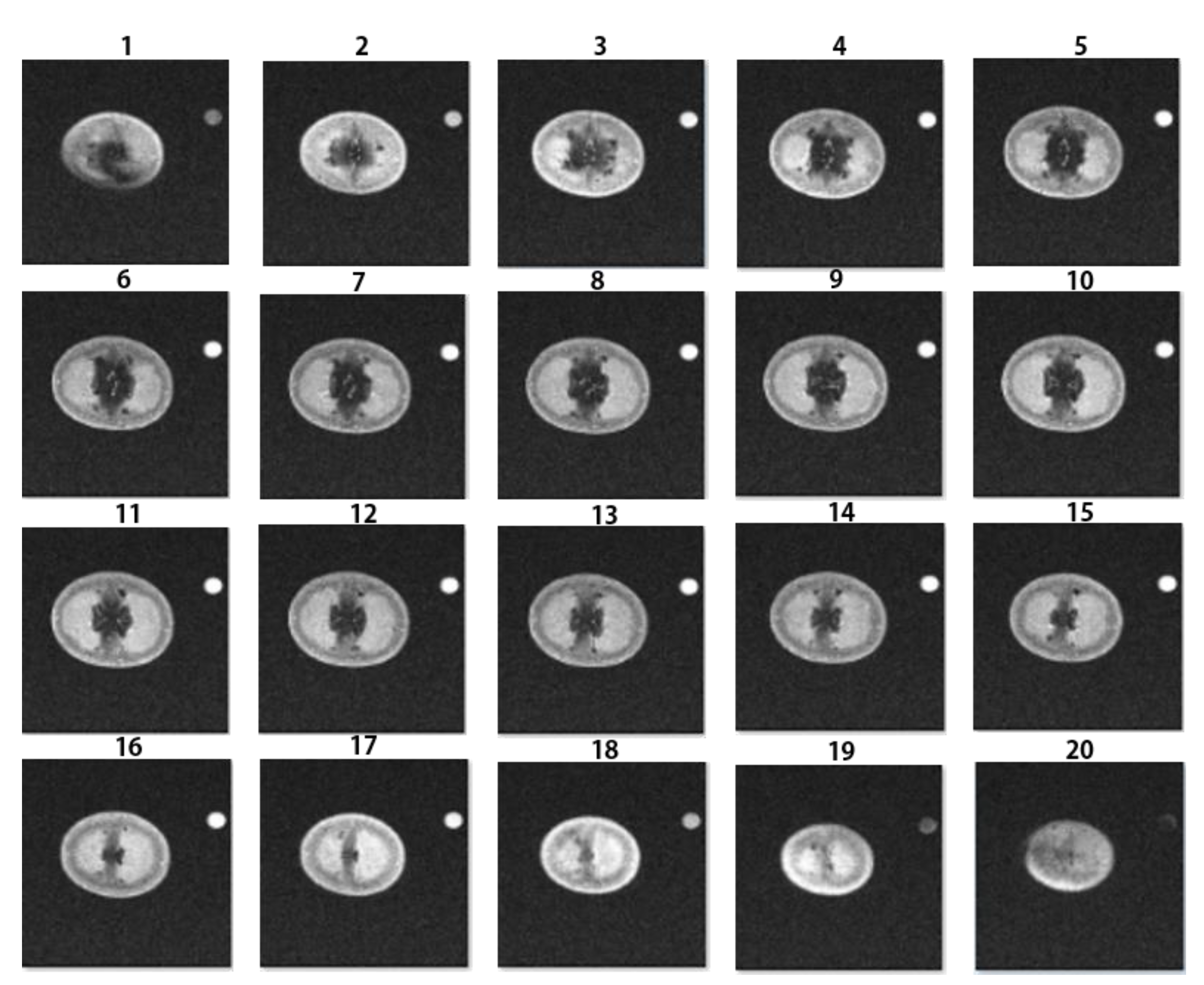 Applsci 10 05188 g003 Applsci 10 05188 g003