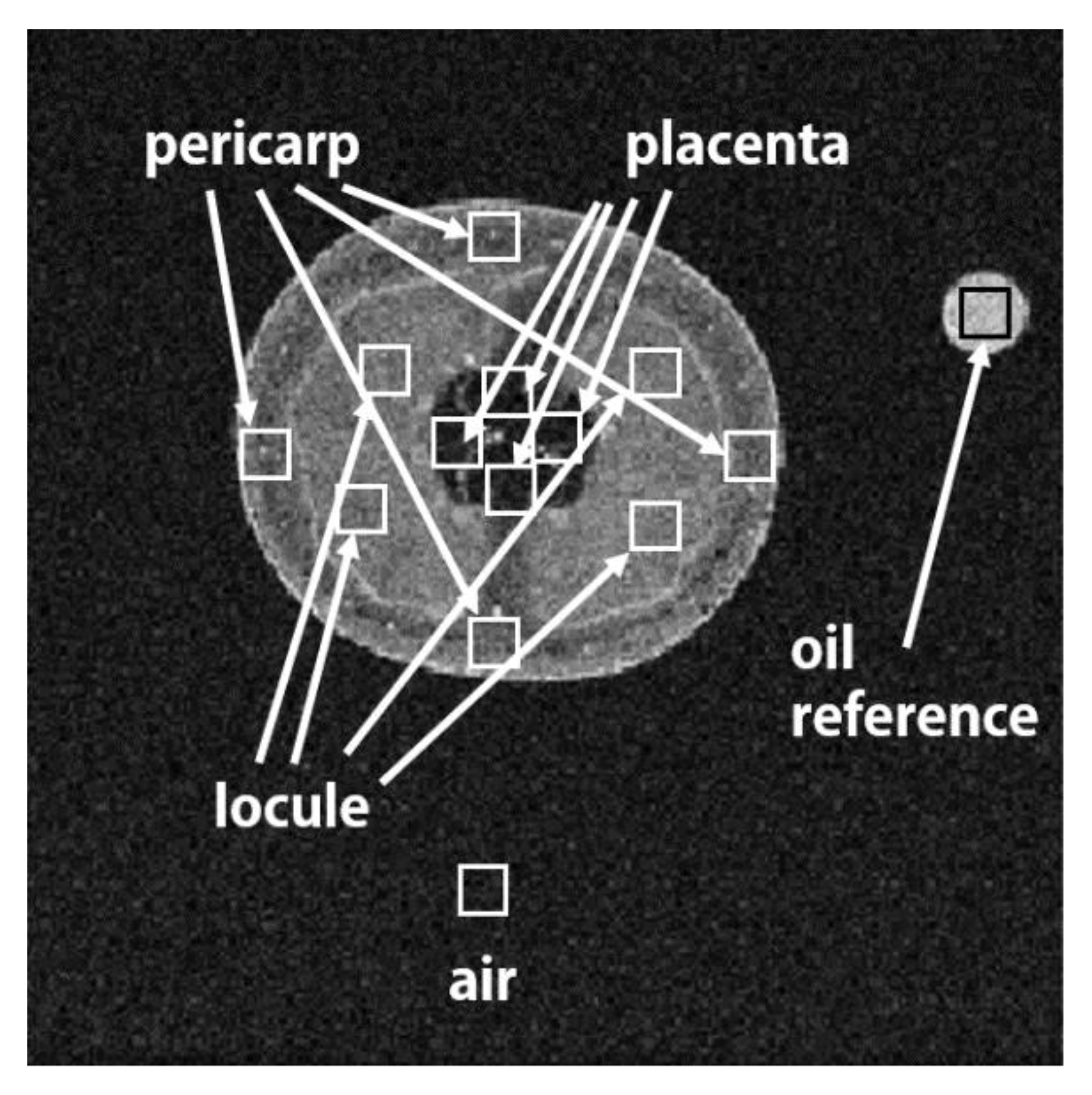 Applsci 10 05188 g004 Applsci 10 05188 g004