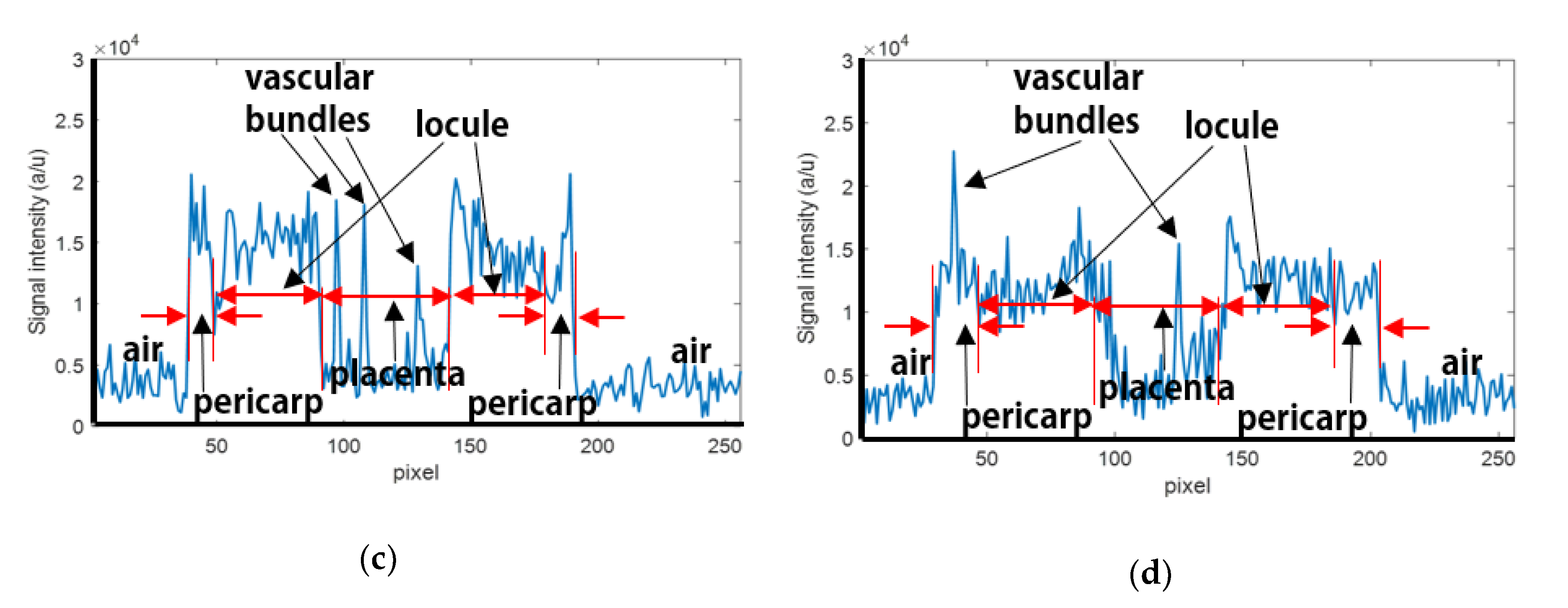 Applsci 10 05188 g005b Applsci 10 05188 g005b