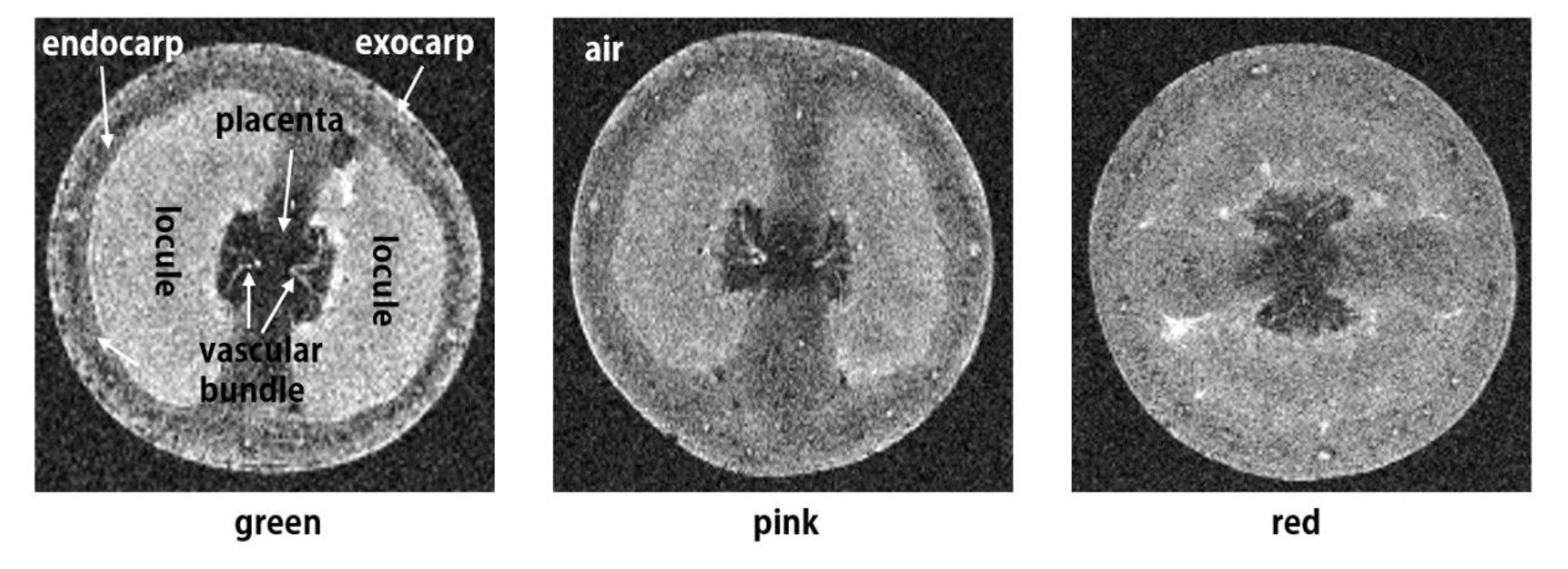 Applsci 10 05188 g006 Applsci 10 05188 g006