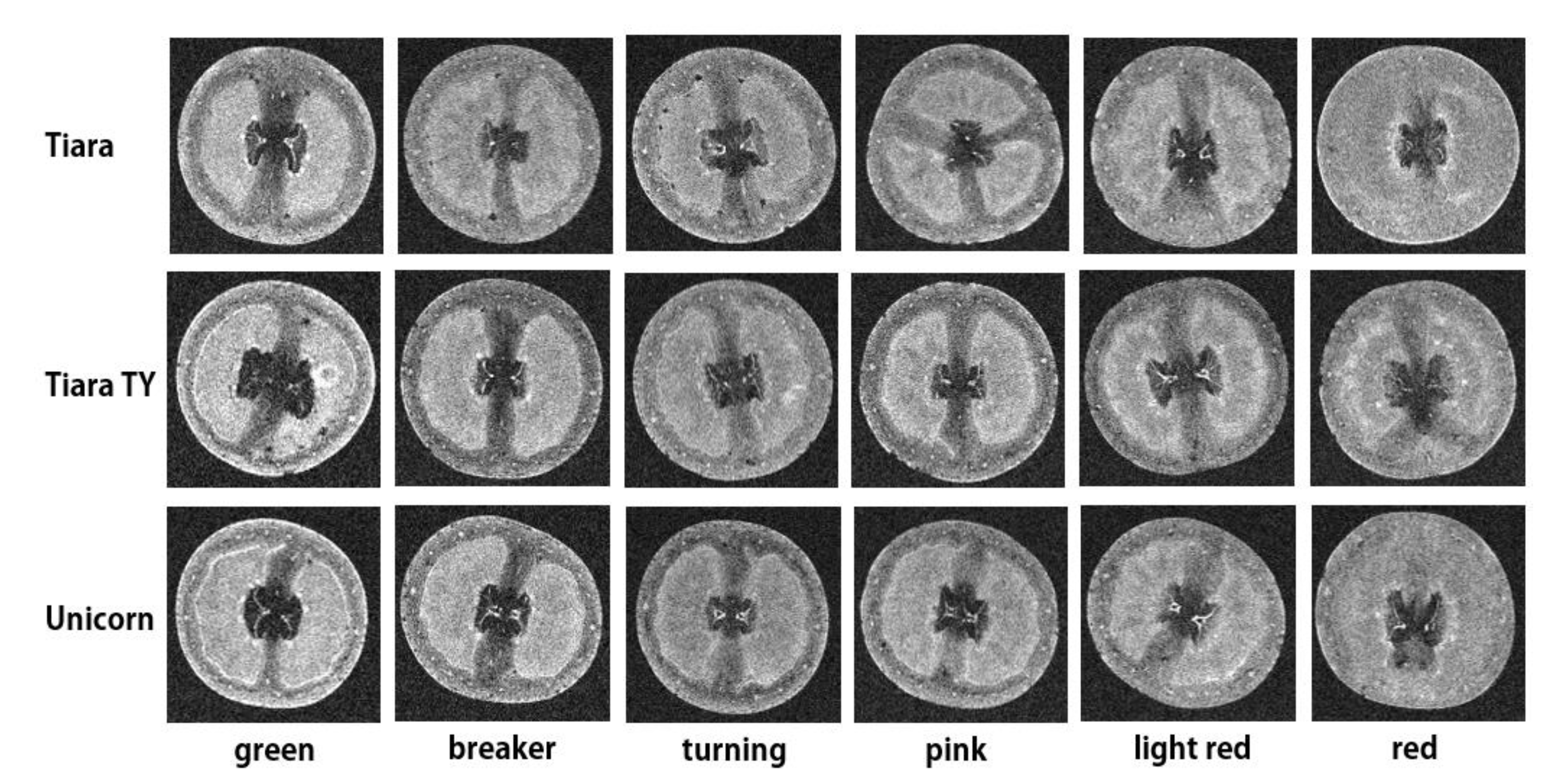 Applsci 10 05188 g007 Applsci 10 05188 g007