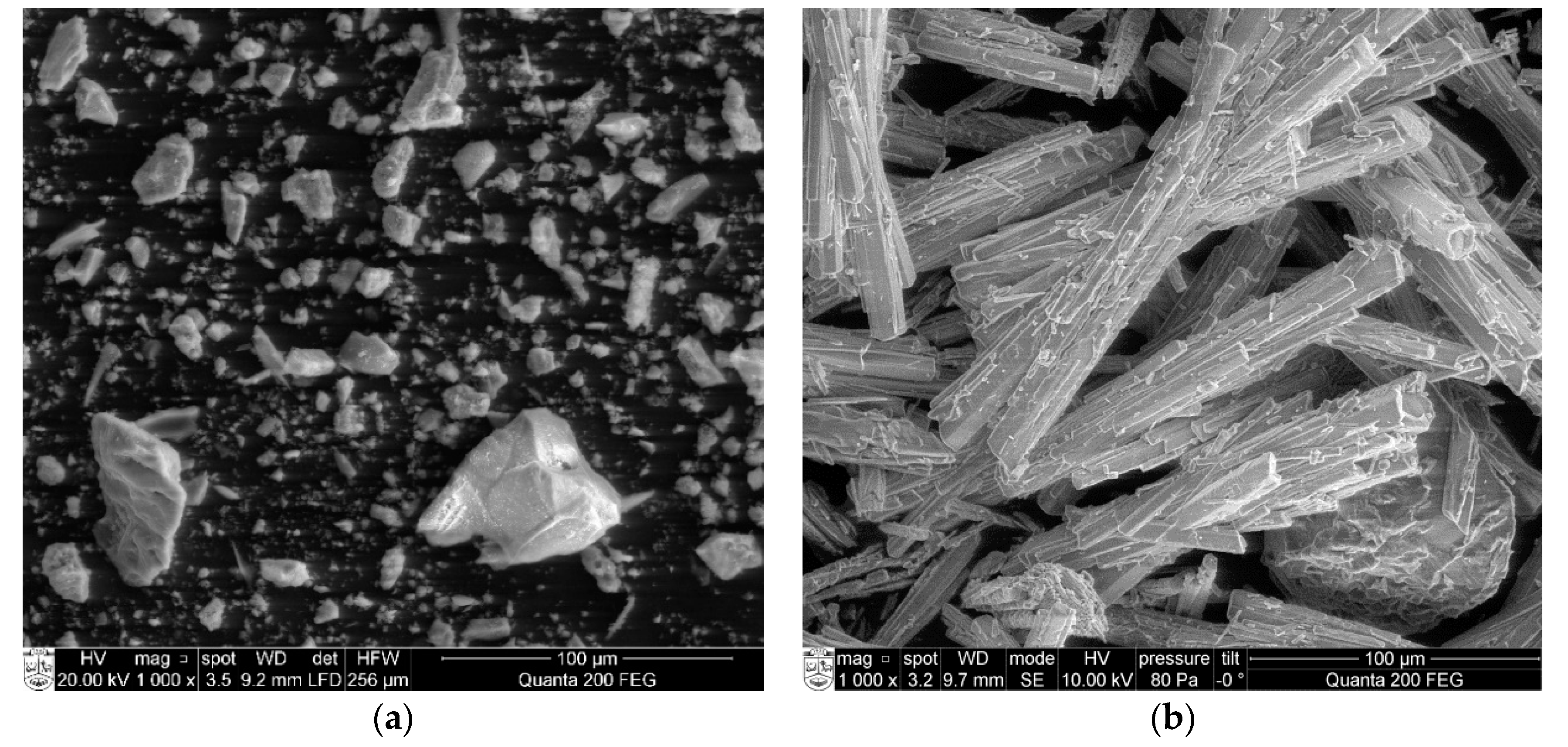 Applsci 10 05190 g001