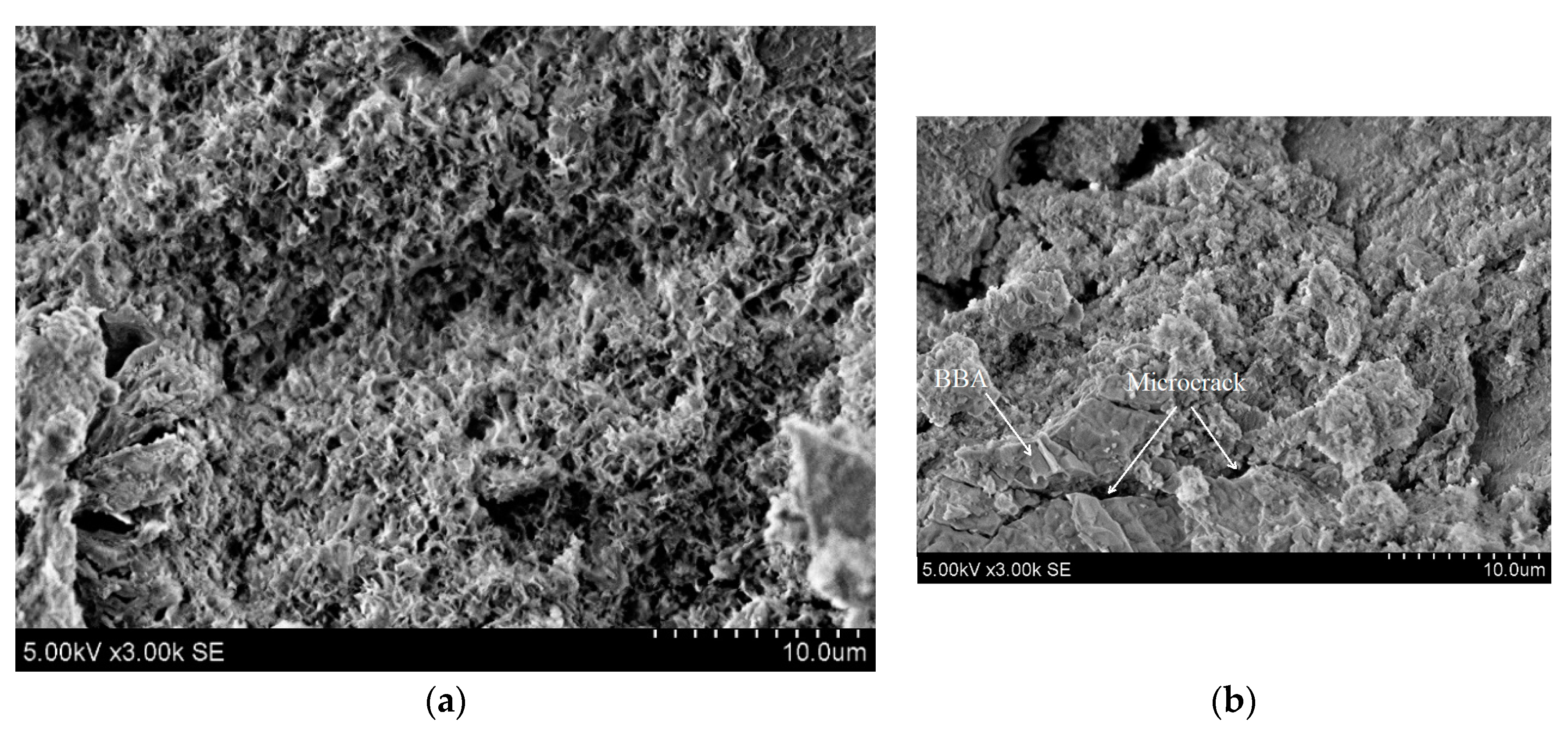 Applsci 10 05190 g006