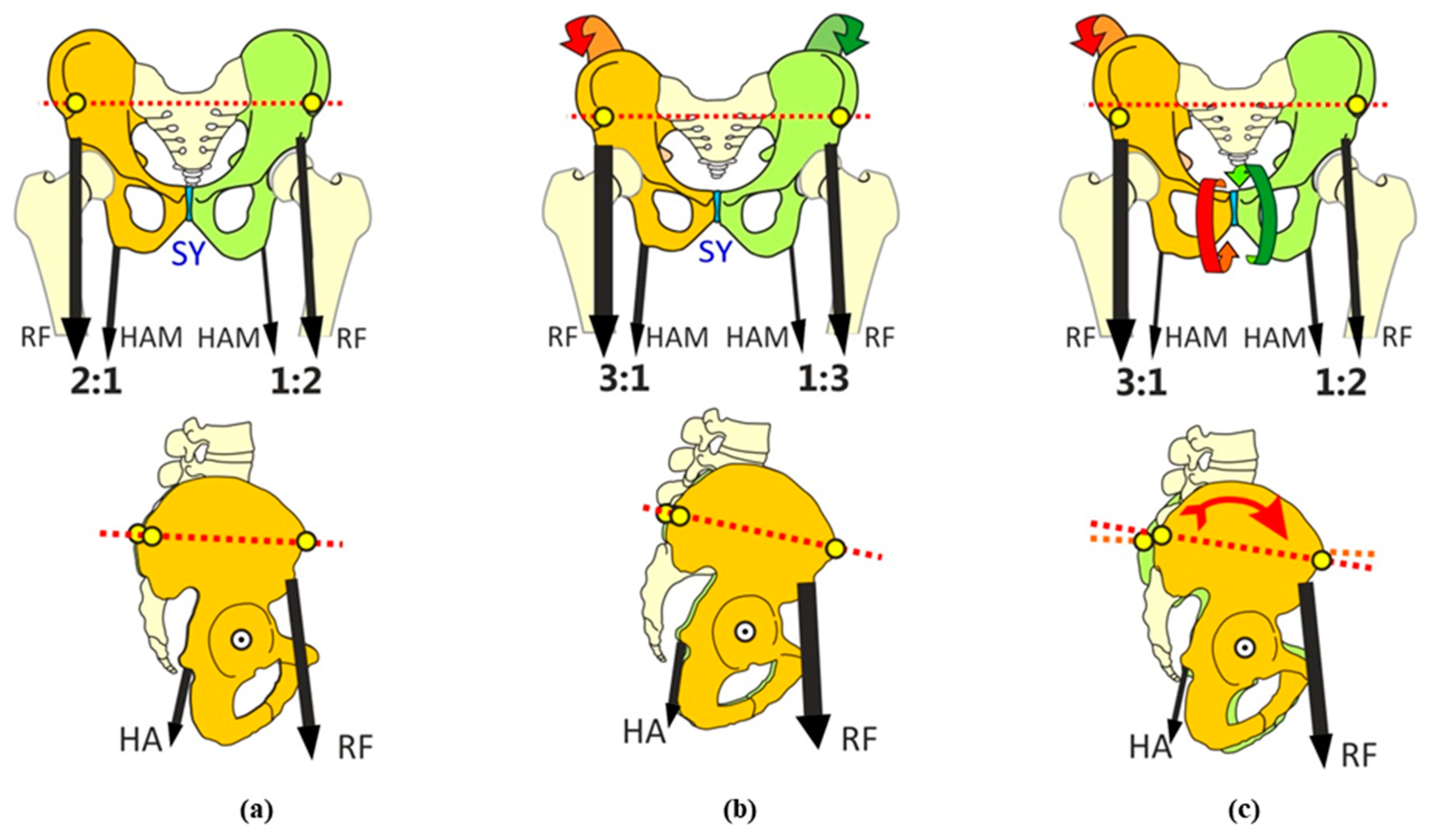 Applsci 10 05215 g005