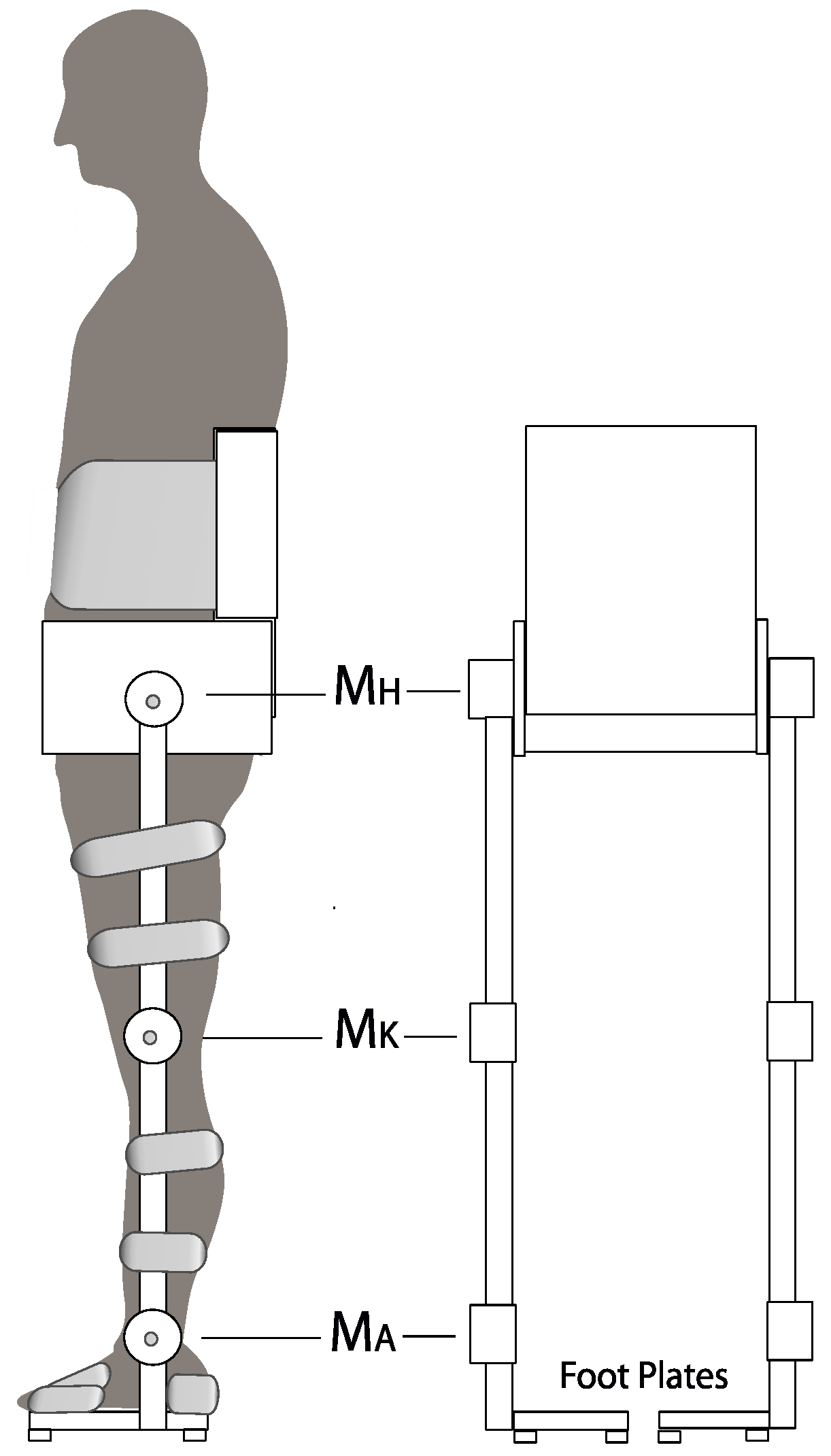 Applsci 10 05240 g001 Applsci 10 05240 g001