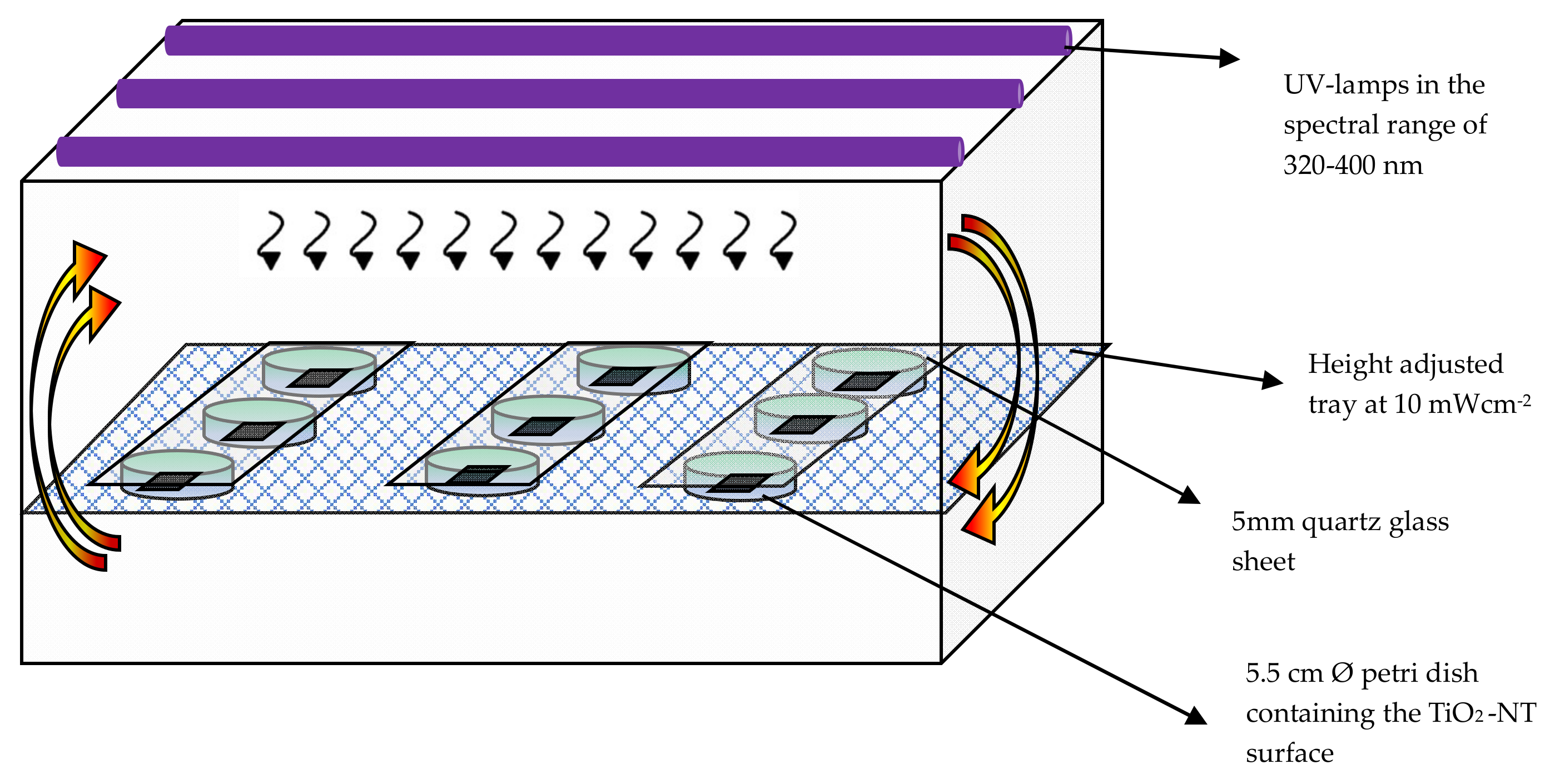 Applsci 10 05243 g001