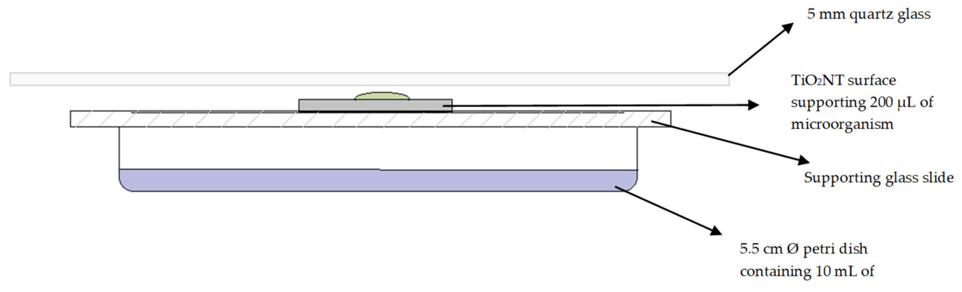 Applsci 10 05243 g002