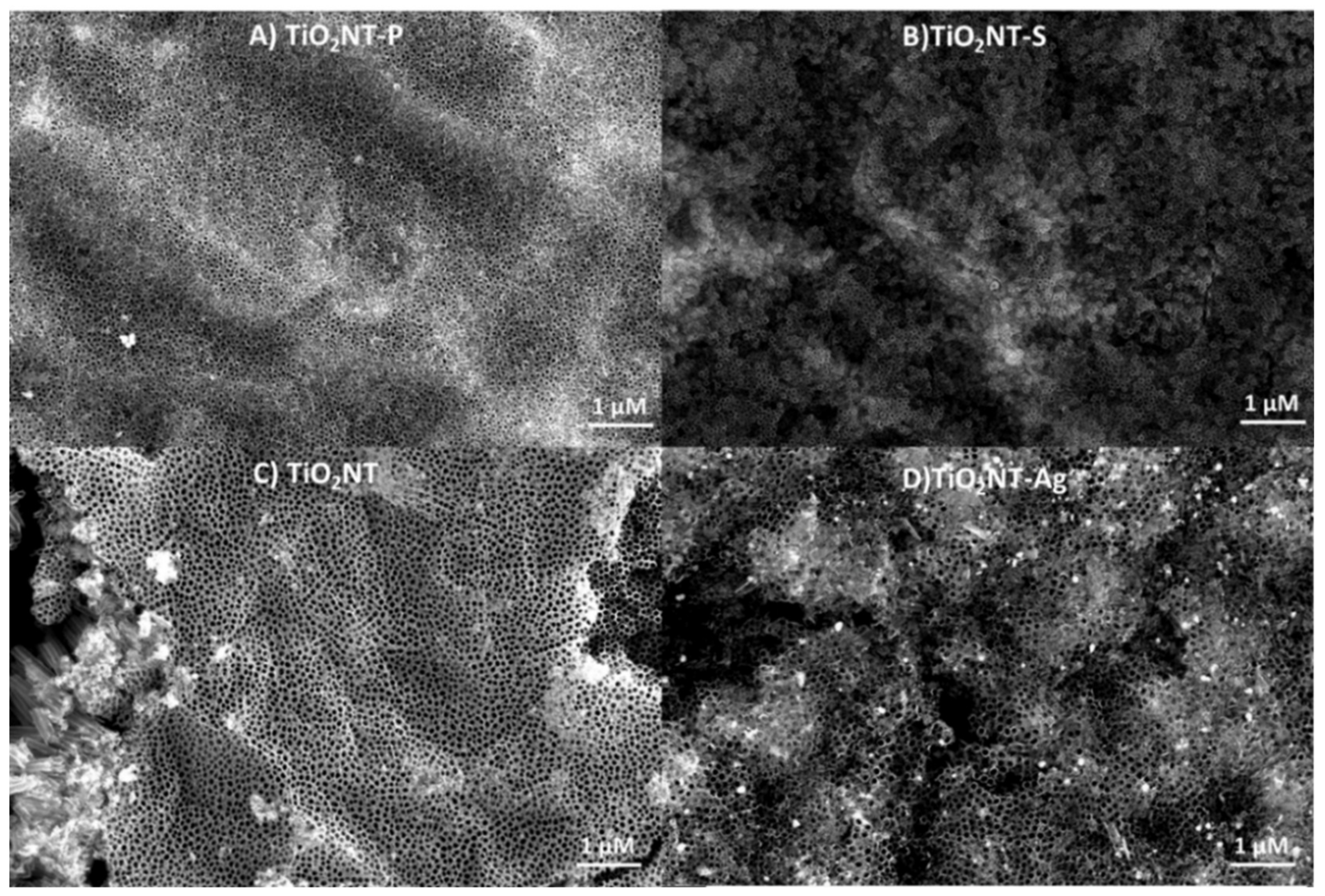 Applsci 10 05243 g003