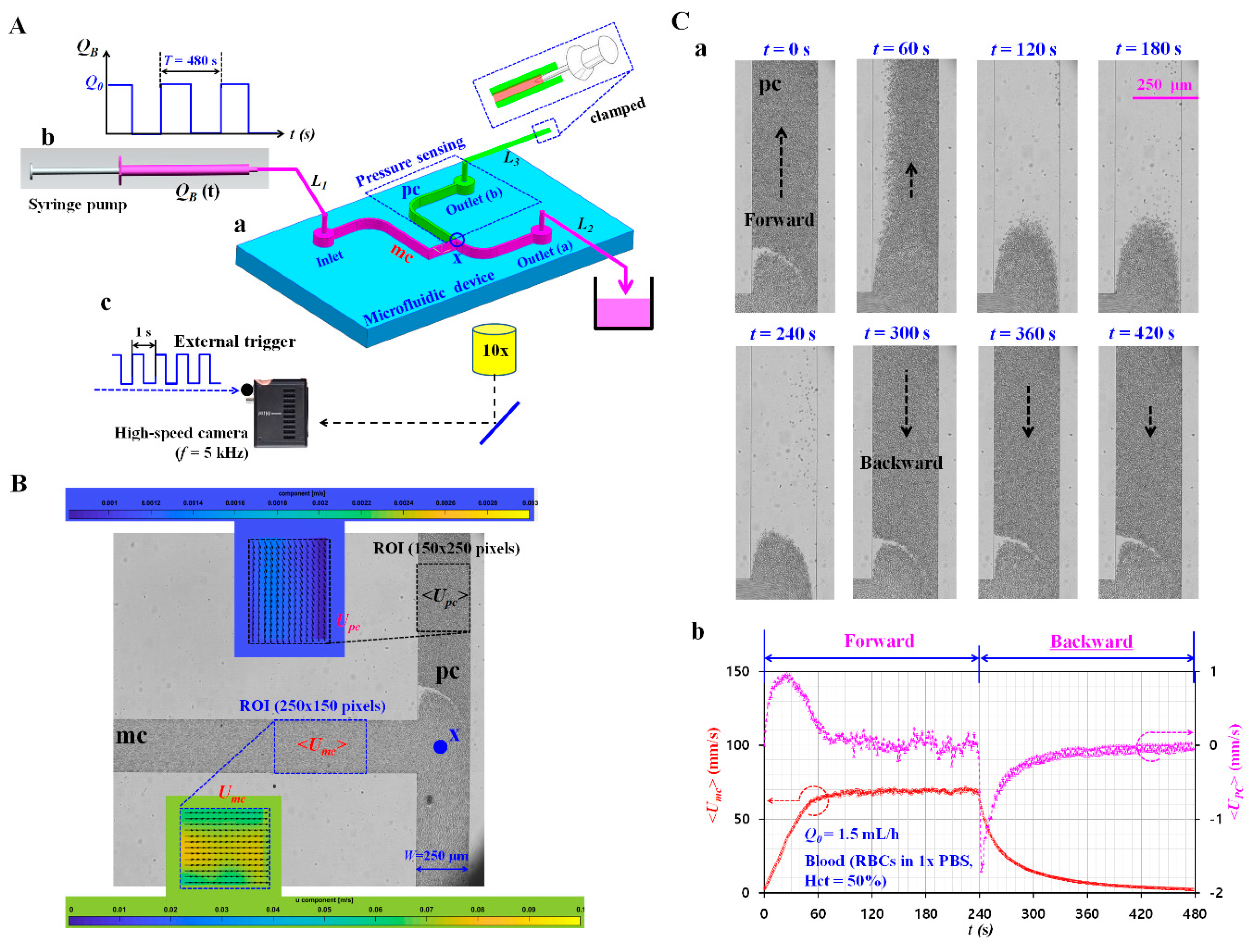 Applsci 10 05273 g001