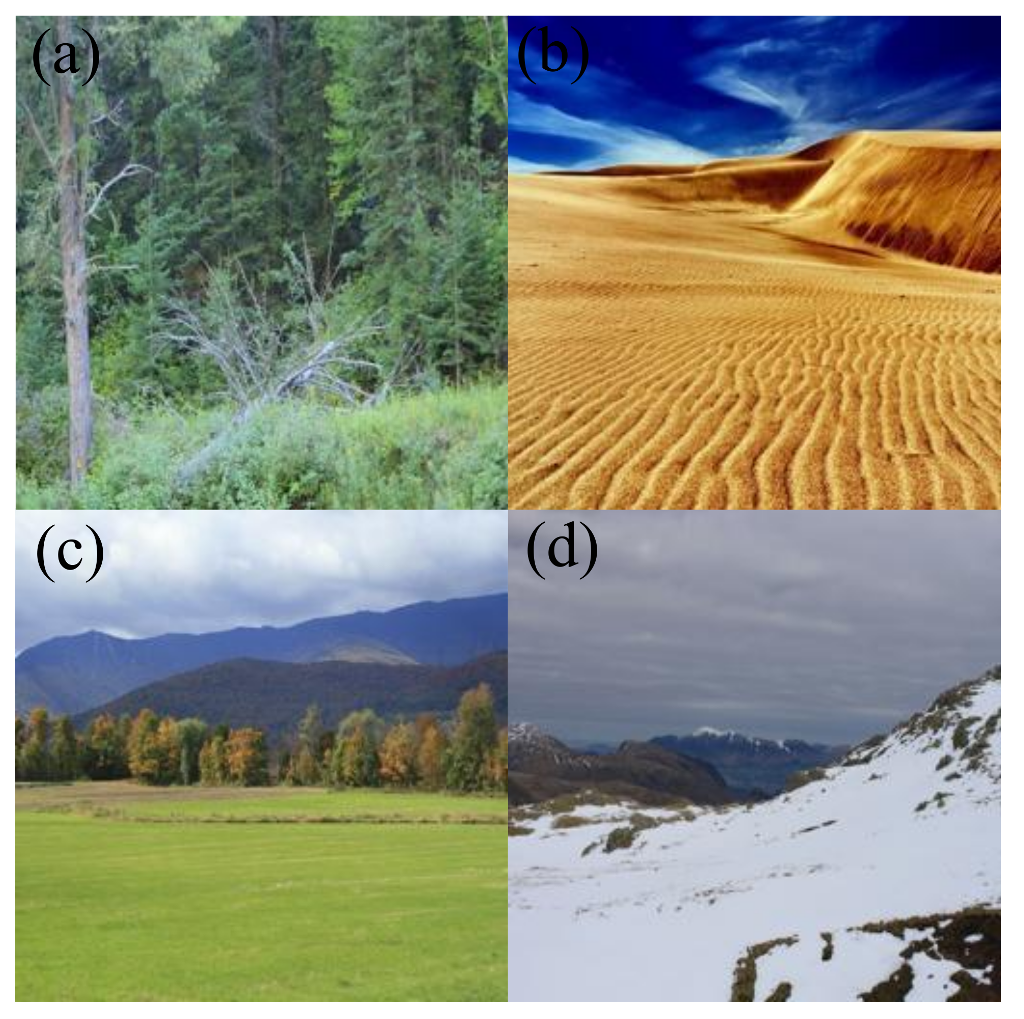 Applsci 10 05284 g003