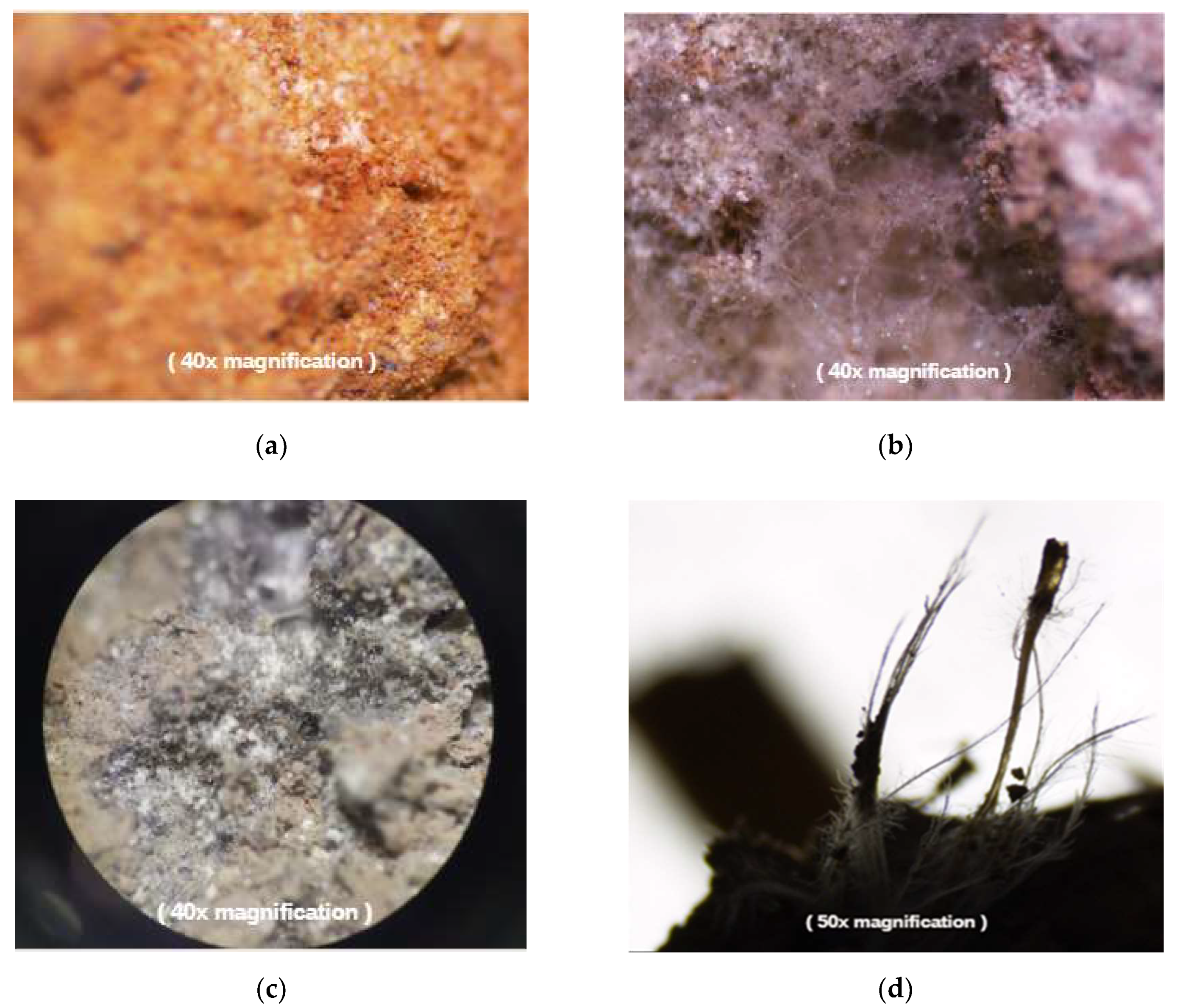 Applsci 10 05303 g012