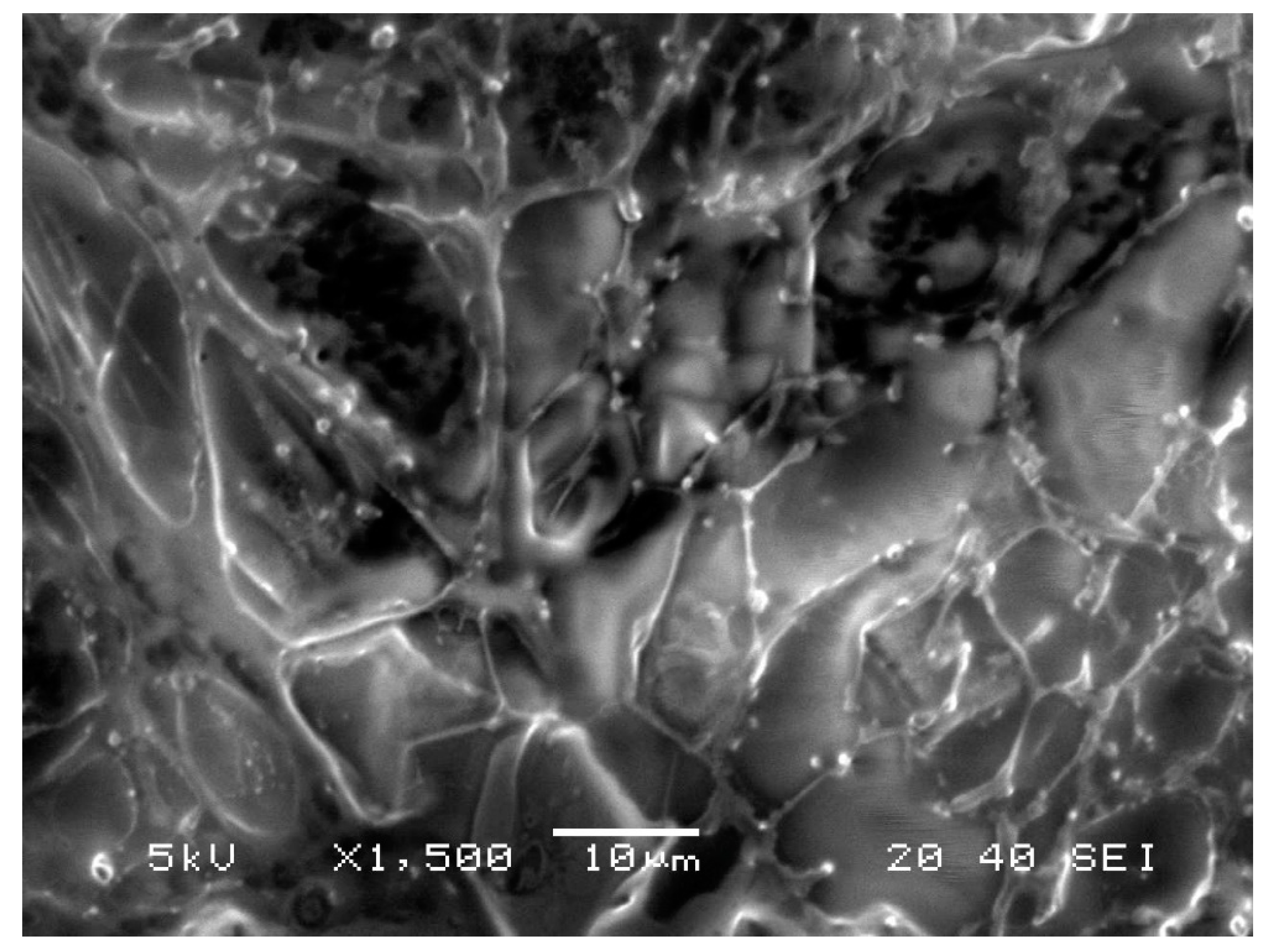 Applsci 10 05341 g003 Applsci 10 05341 g003