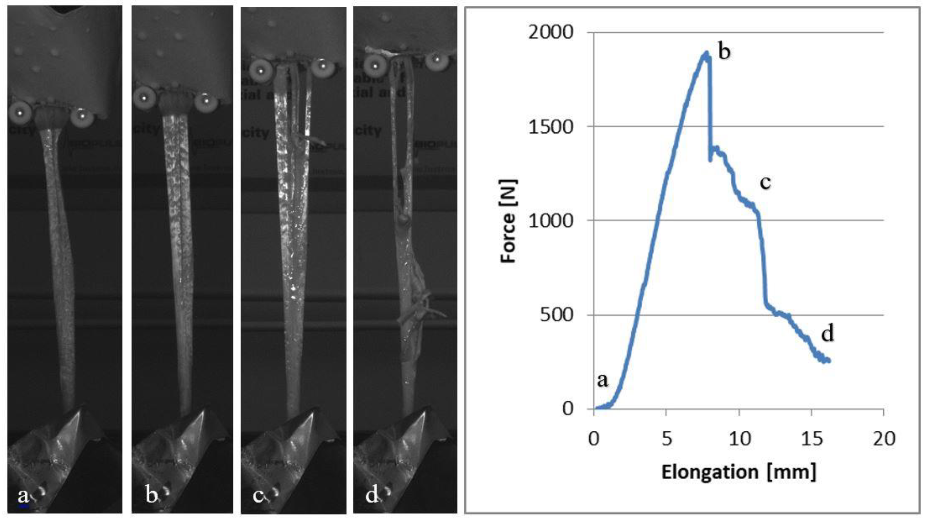 Applsci 10 05369 g001 Applsci 10 05369 g001