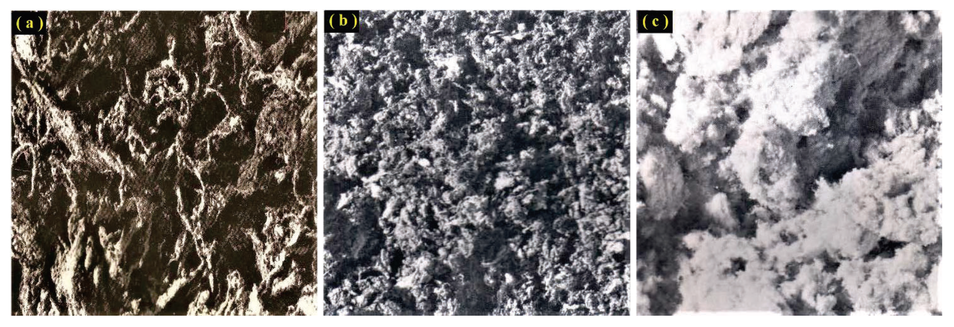 Applsci 10 05374 g001