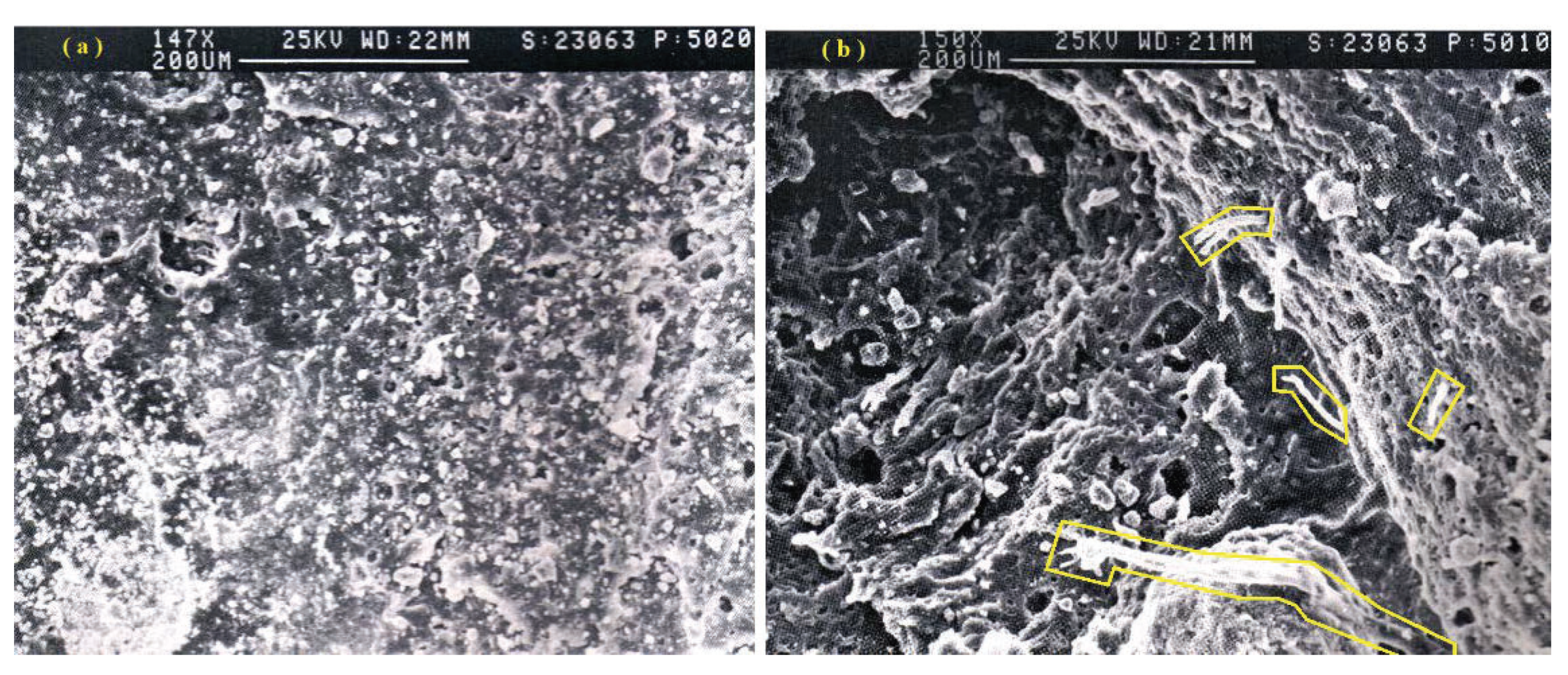 Applsci 10 05374 g004