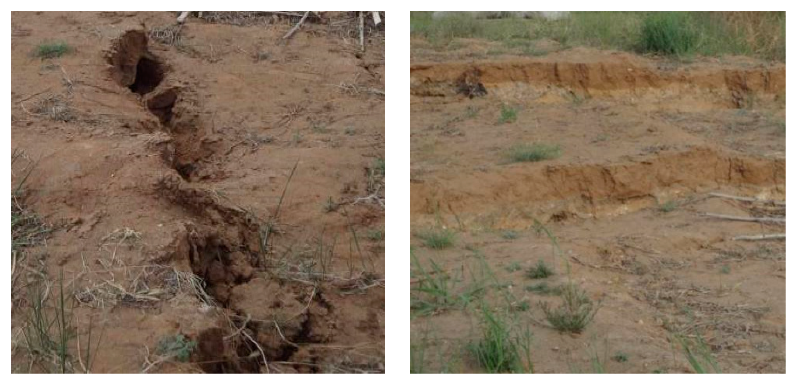 Applsci 10 05408 g004