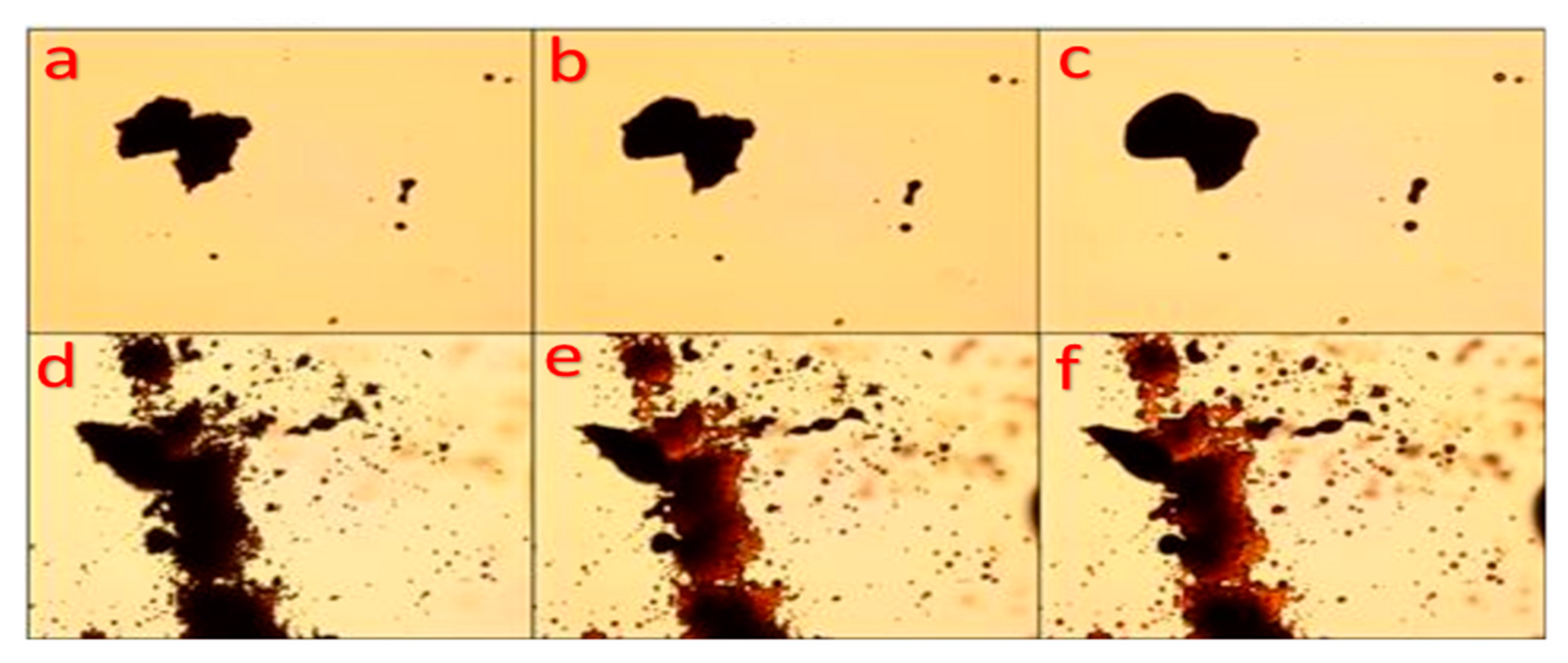 Applsci 10 05409 g005 Applsci 10 05409 g005