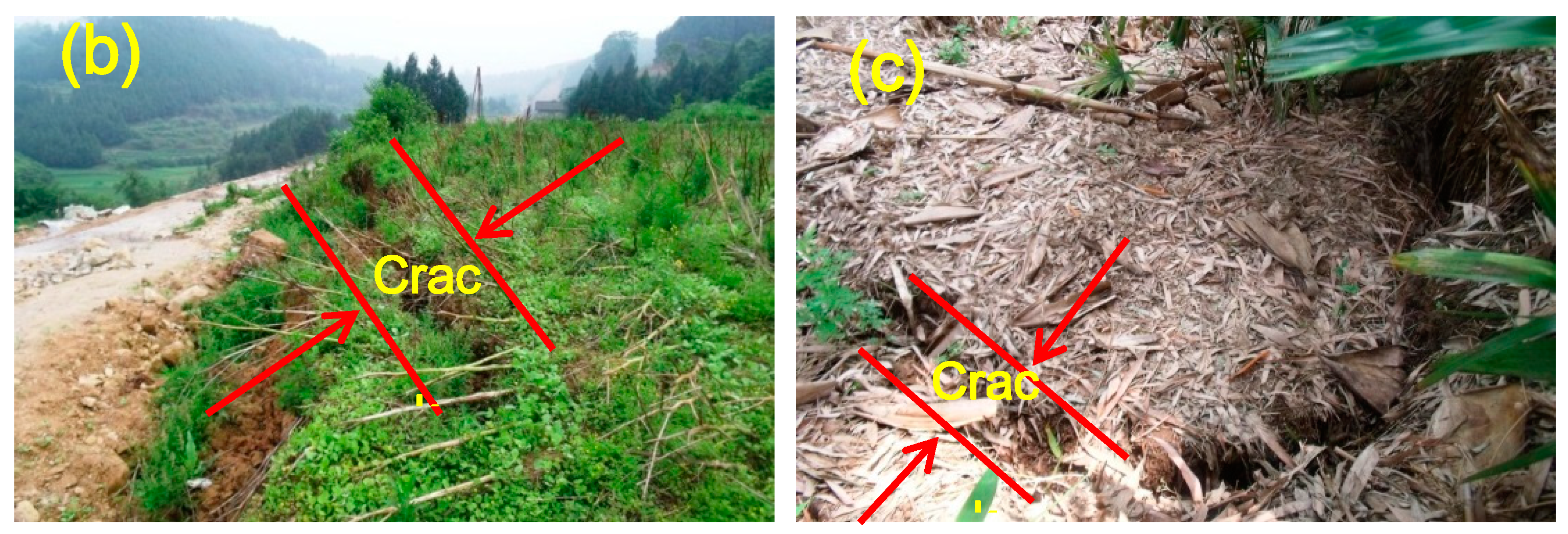 Applsci 10 05416 g003b Applsci 10 05416 g003b