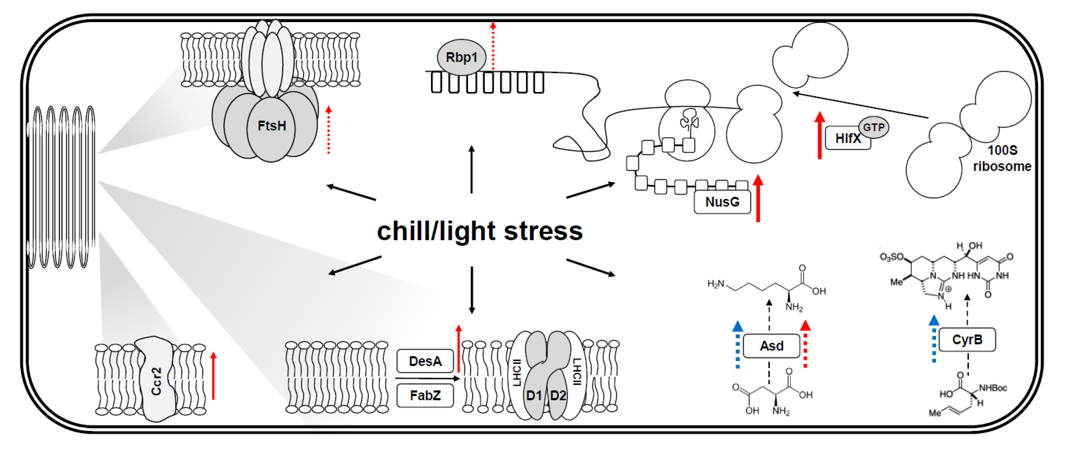 Applsci 10 05437 g005 Applsci 10 05437 g005