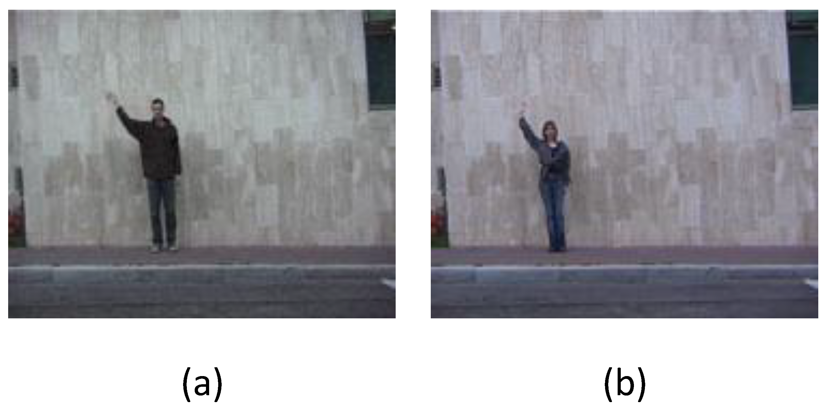 Applsci 10 05453 g007