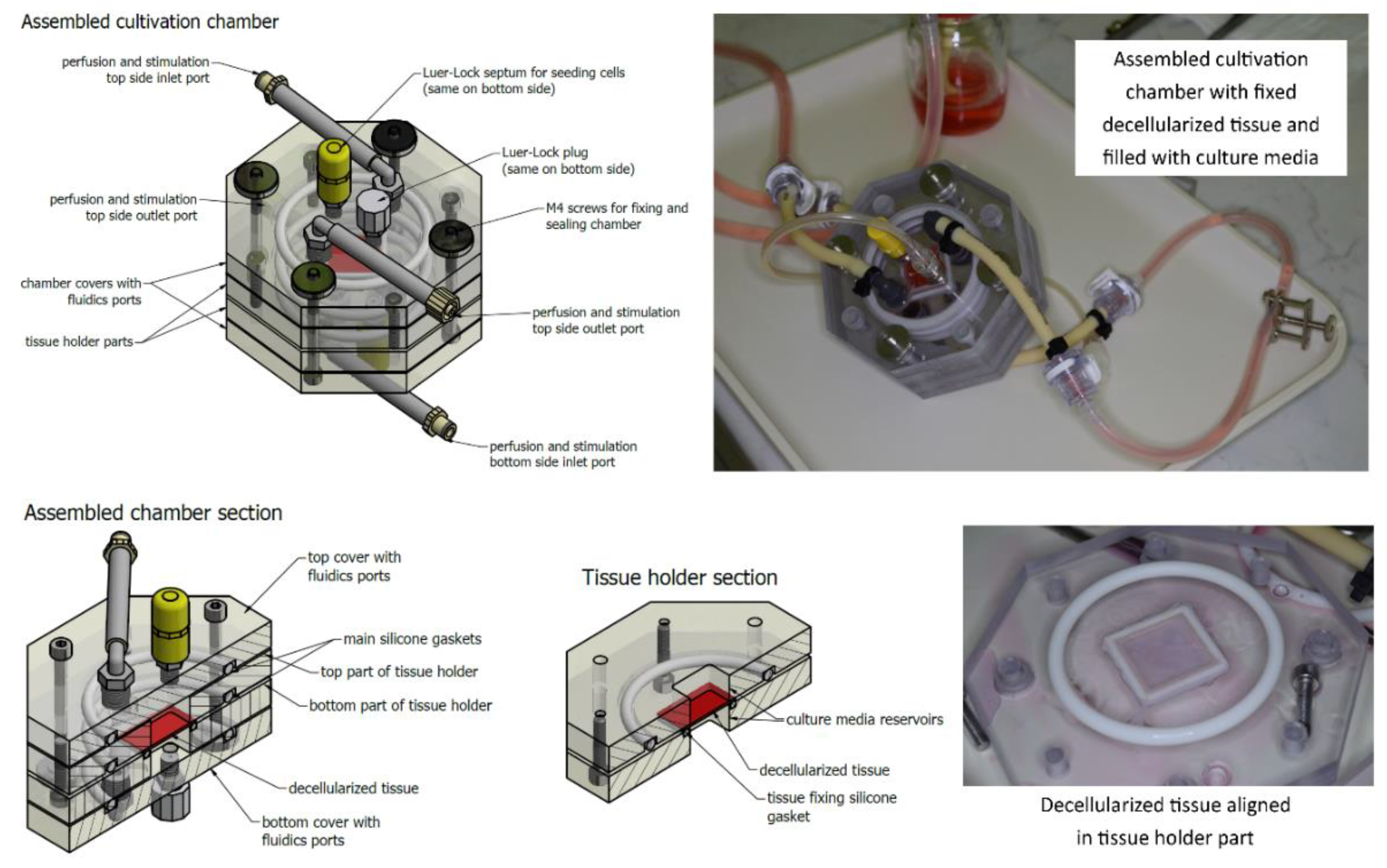 Applsci 10 05473 g002