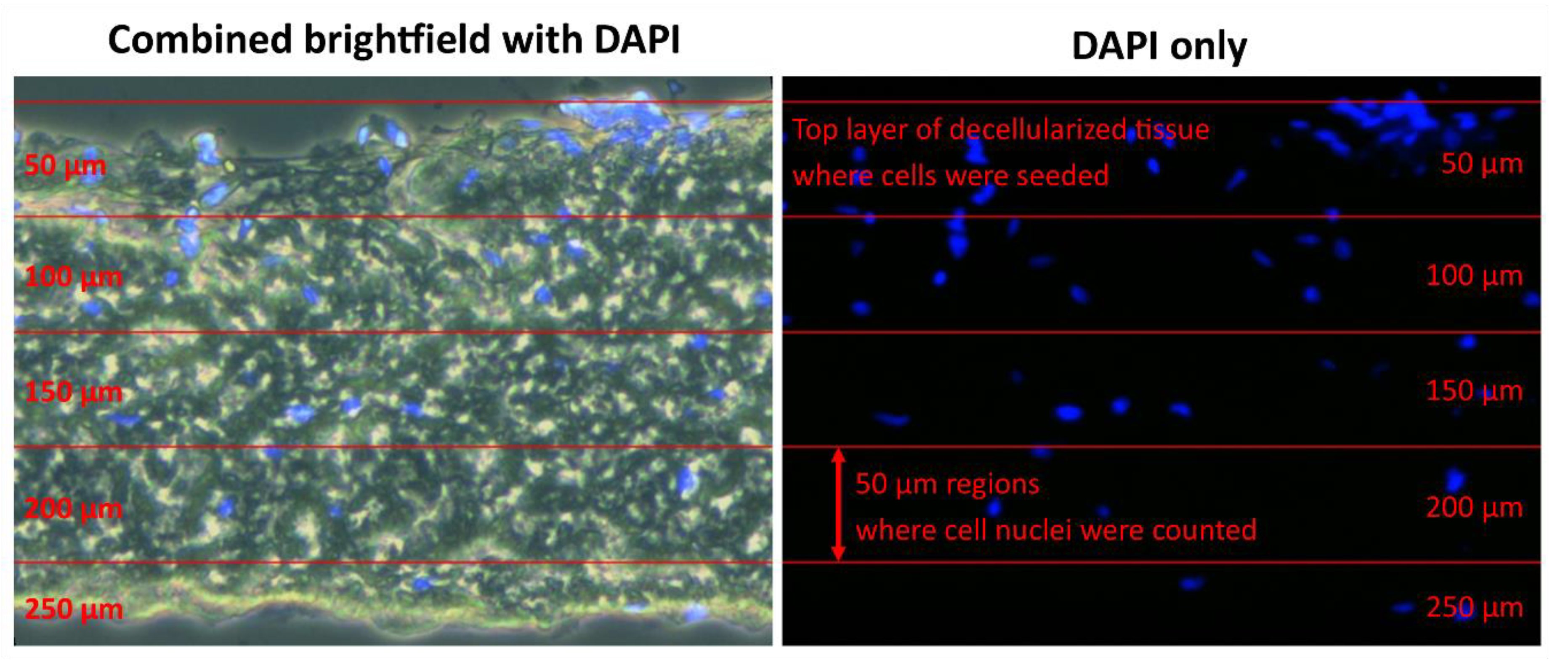 Applsci 10 05473 g005